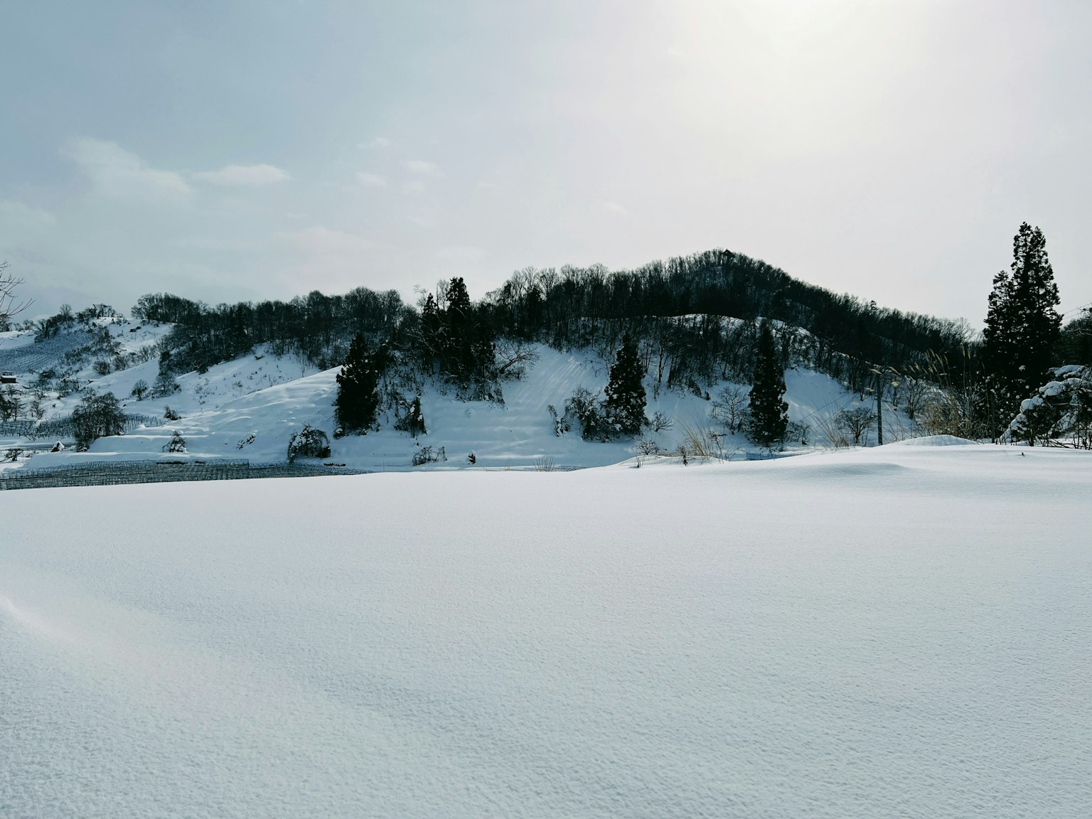 白雪覆盖的风景和树木以及山丘
