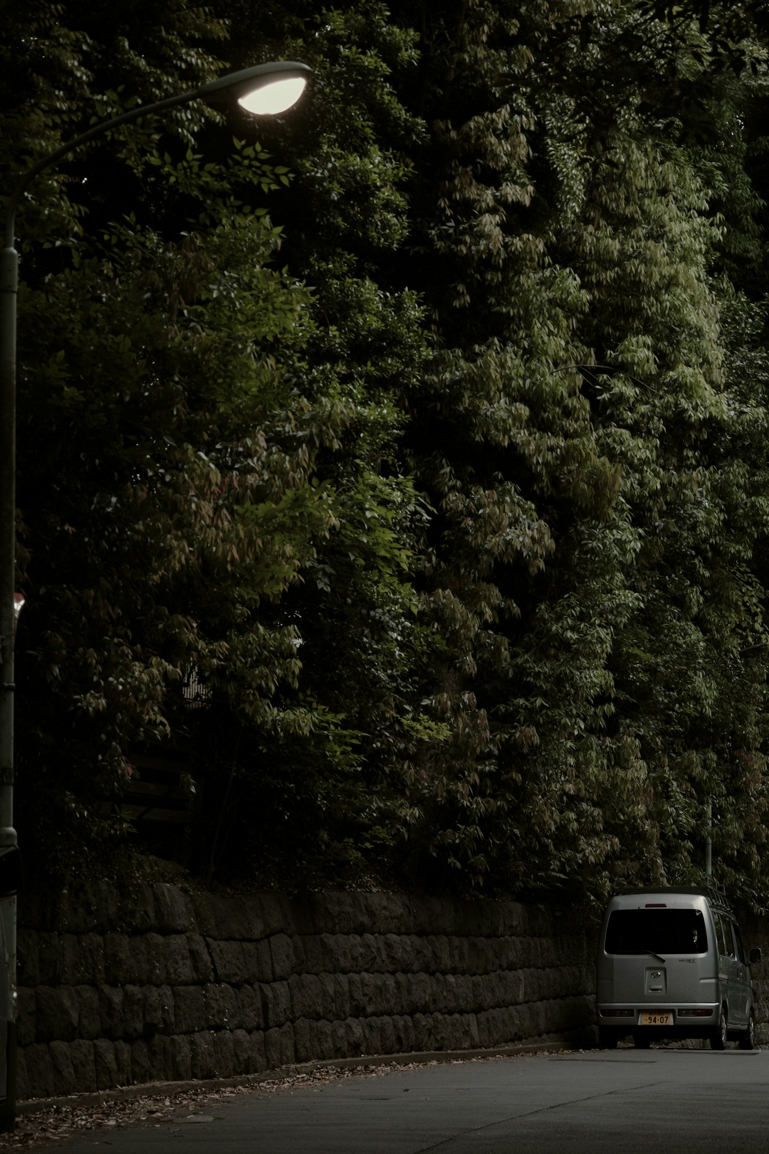 Un piccolo veicolo parcheggiato su una strada buia accanto a un muro di vegetazione lussureggiante