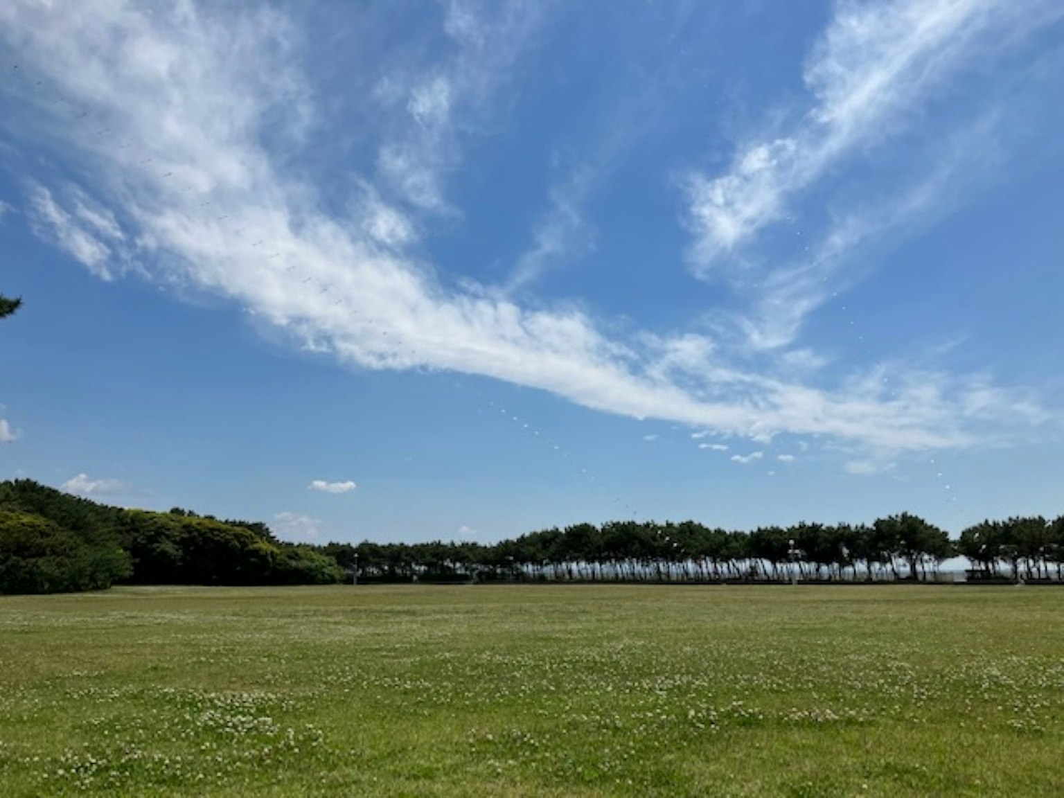 Una vista panoramica di un prato verde sotto un cielo blu con nuvole bianche