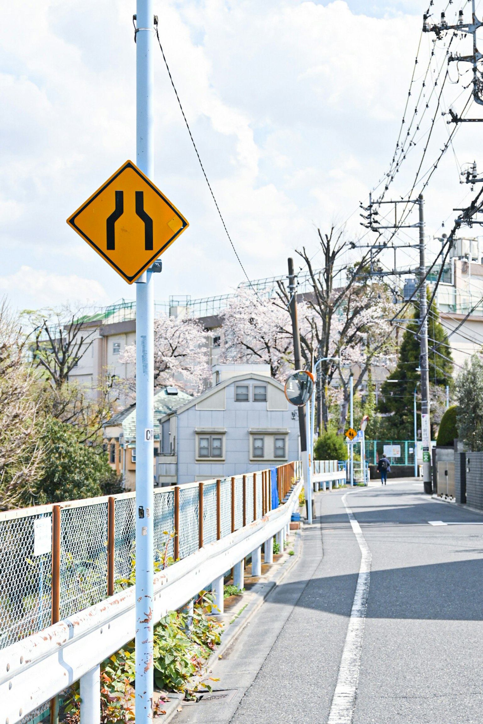 指示轉彎的道路標誌，背景中有櫻花樹
