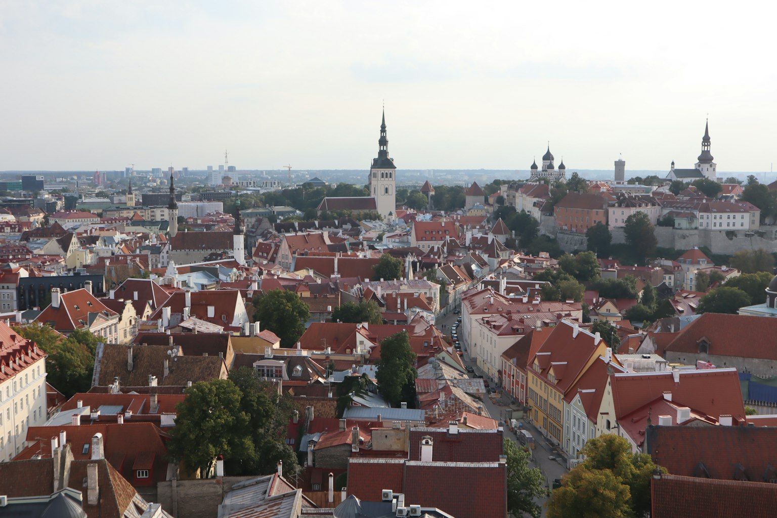 Panoramablick auf Tallinn mit roten Dächern und Türmen