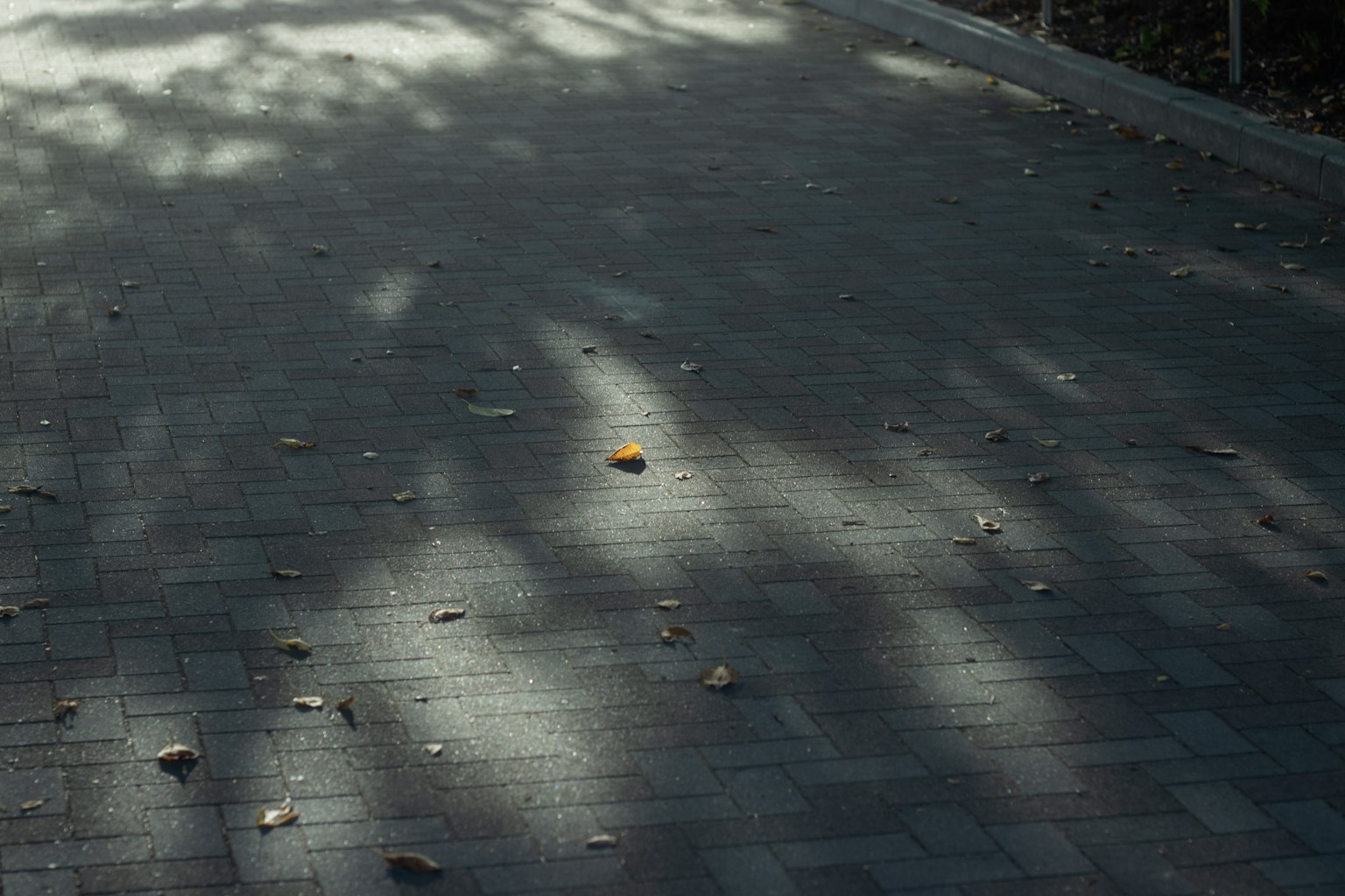 photo-usEBSvziQH7V4RSyBJ2F-image