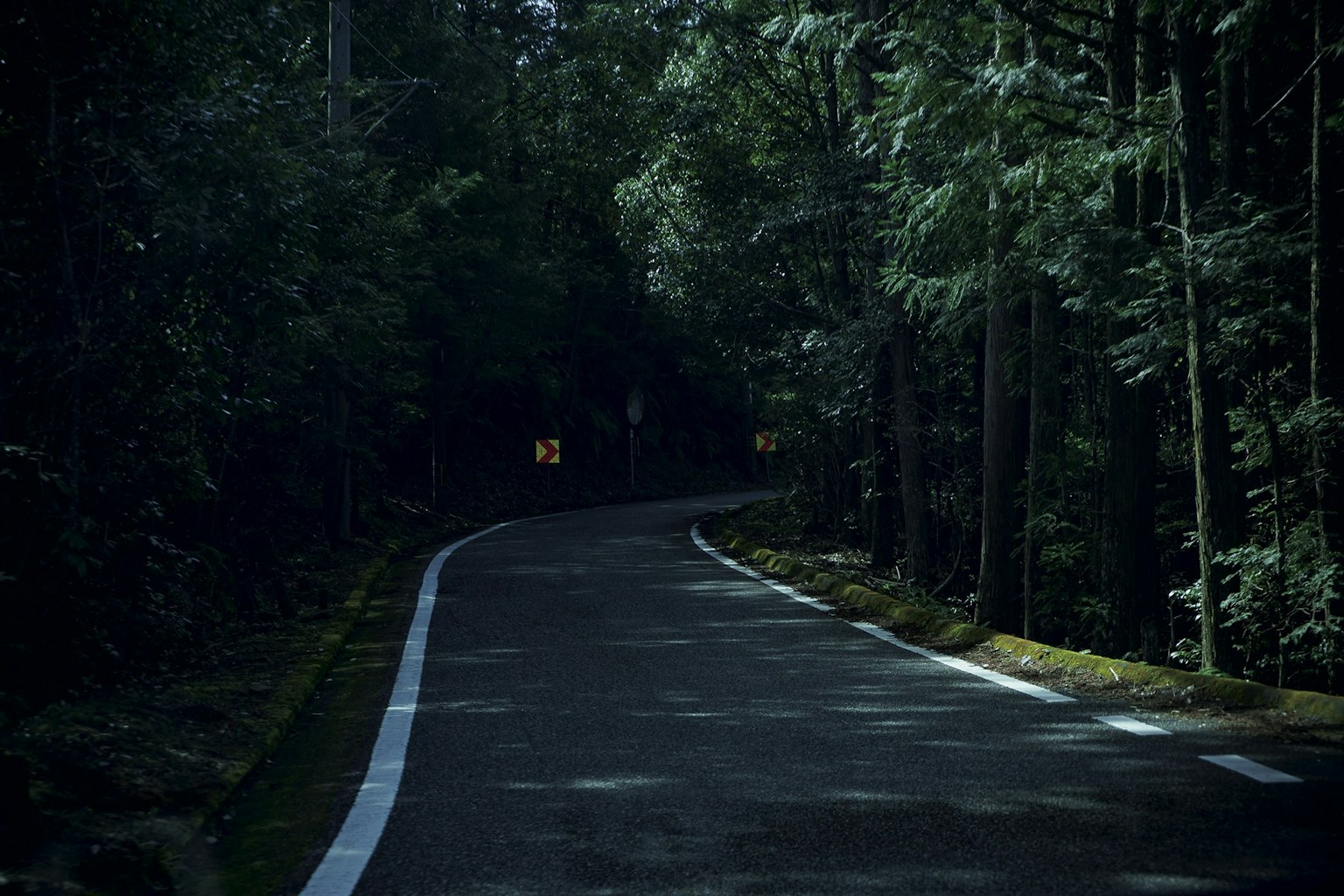 蜿蜒的道路穿过黑暗森林