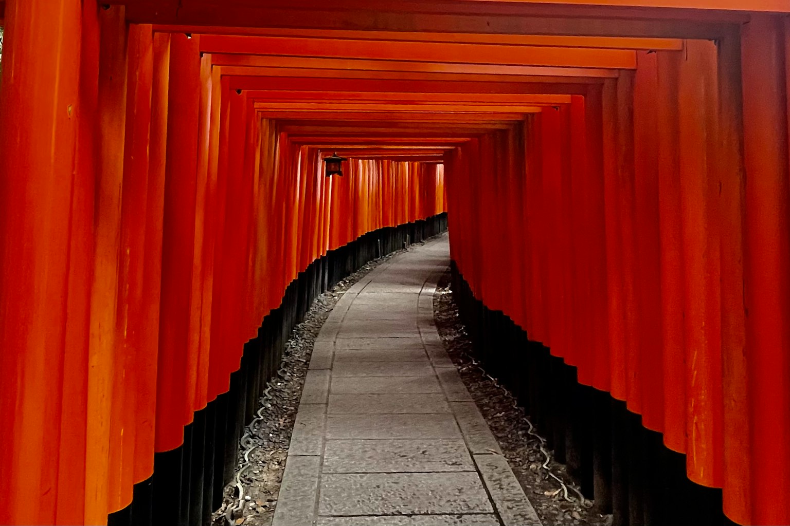 伏见稻荷神社的红色鸟居小径