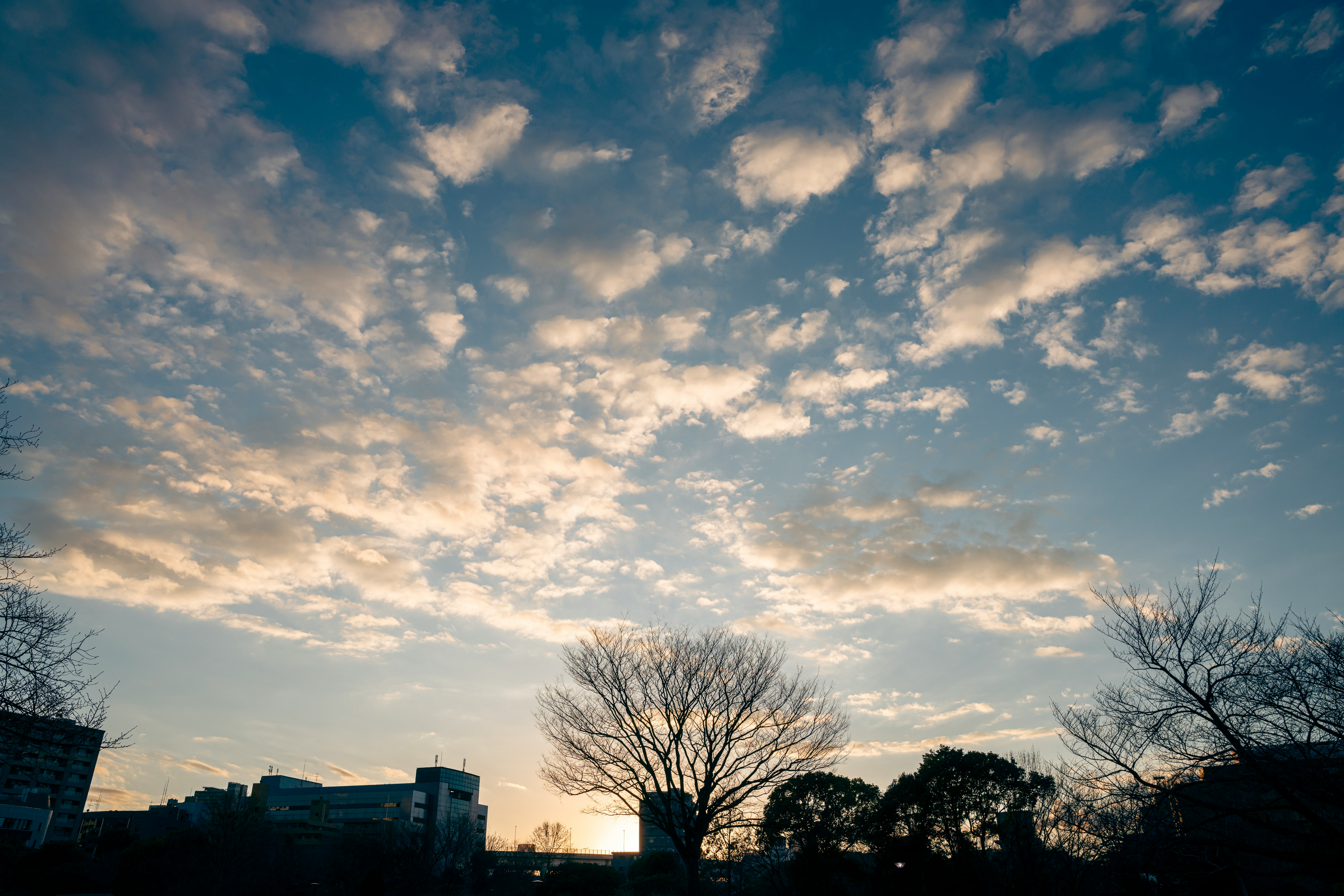 evening sky with scattered clouds and silhouetted cityscape