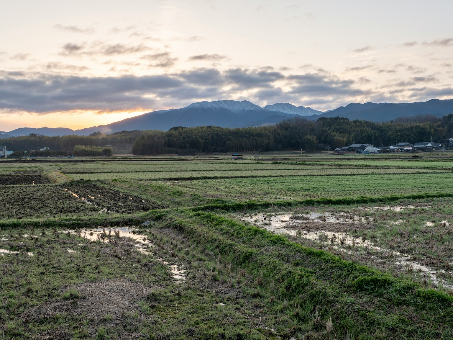 Sunset over rice fields with mountains in the background