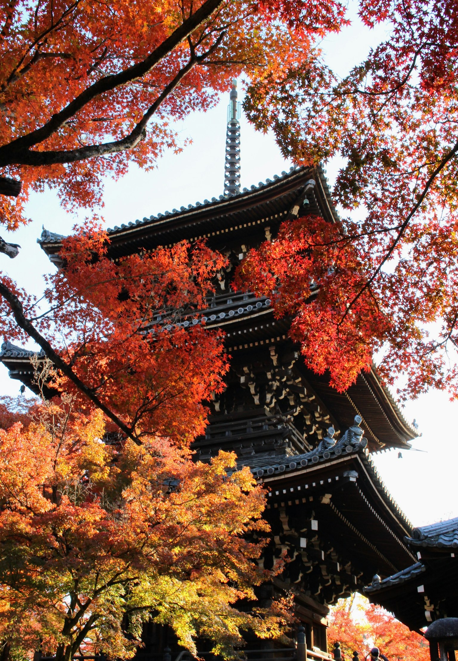 Traditioneller japanischer Tempelturm umgeben von lebhaftem Herbstlaub
