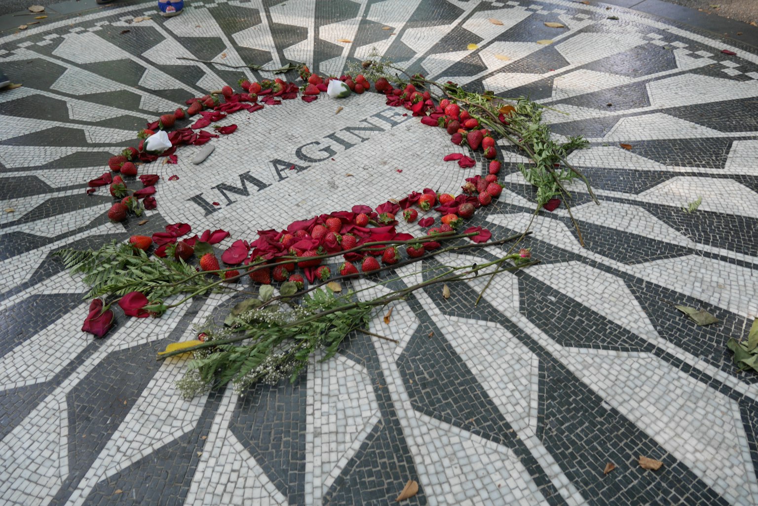 Sol en mosaïque avec le mot IMAGINE entouré de pétales de rose rouges
