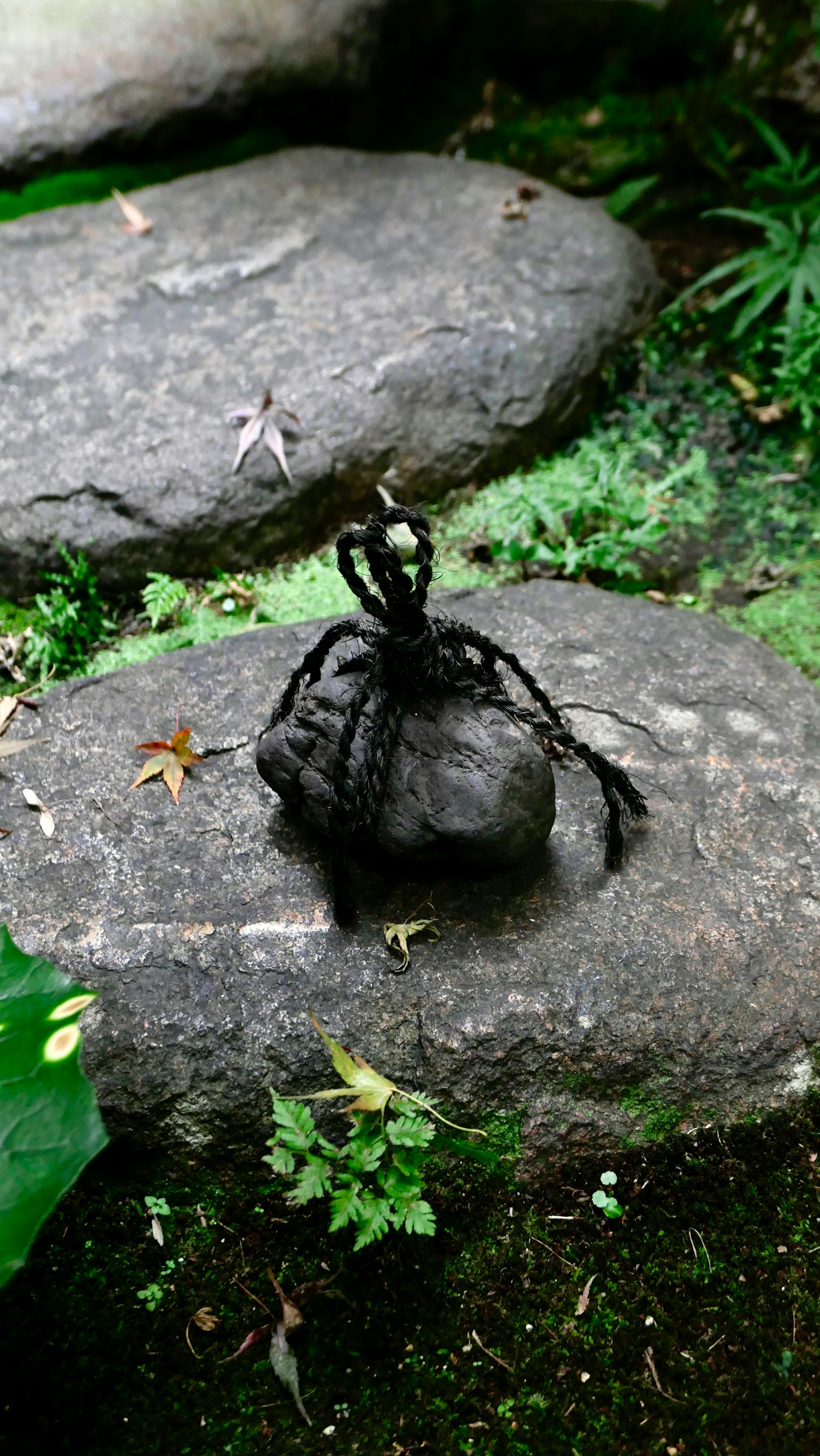 石の上に置かれた黒い物体と周囲の緑の植物