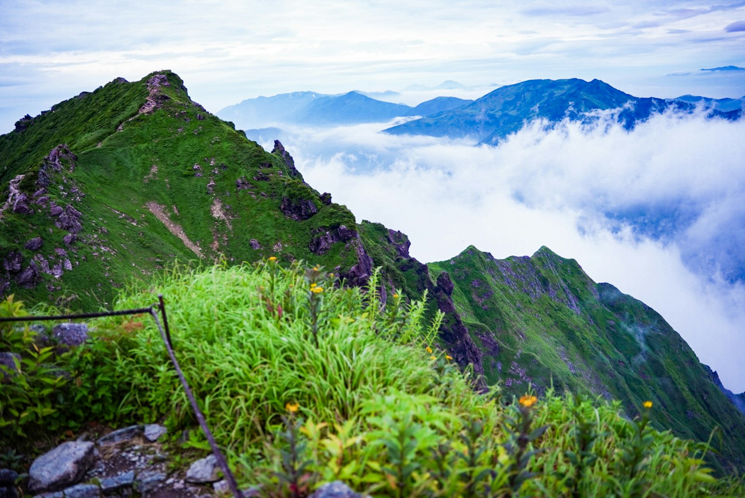 Vista panoramica da una cima montuosa con vegetazione lussureggiante e un mare di nuvole