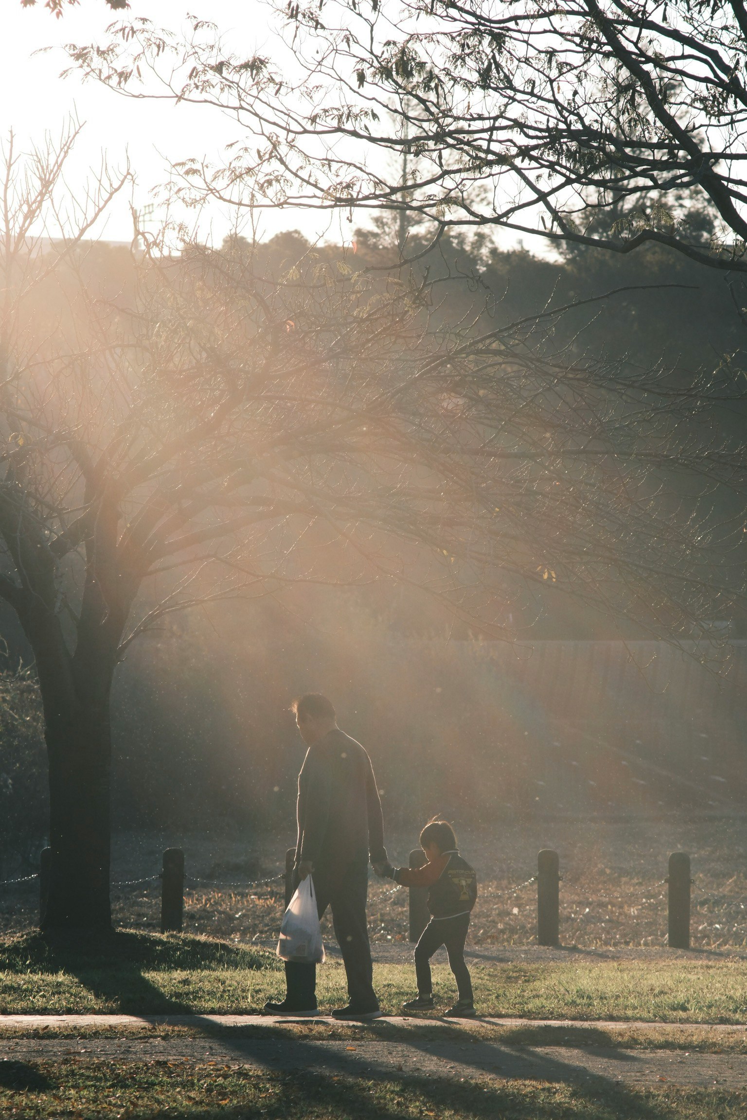 薄明かりの中で子供と一緒に歩く大人のシルエット