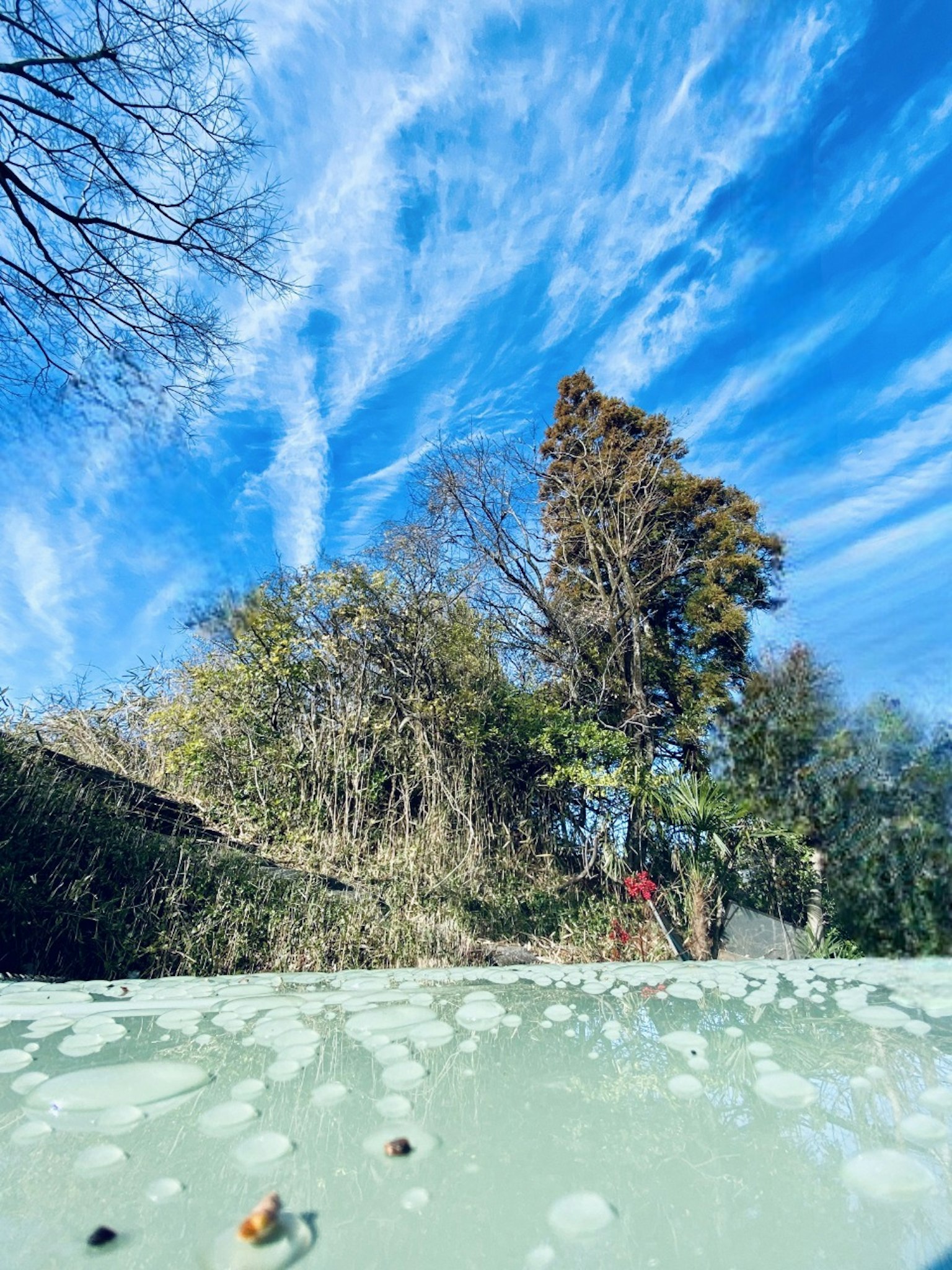 藍天和雲朵下的風景，樹木映襯其間