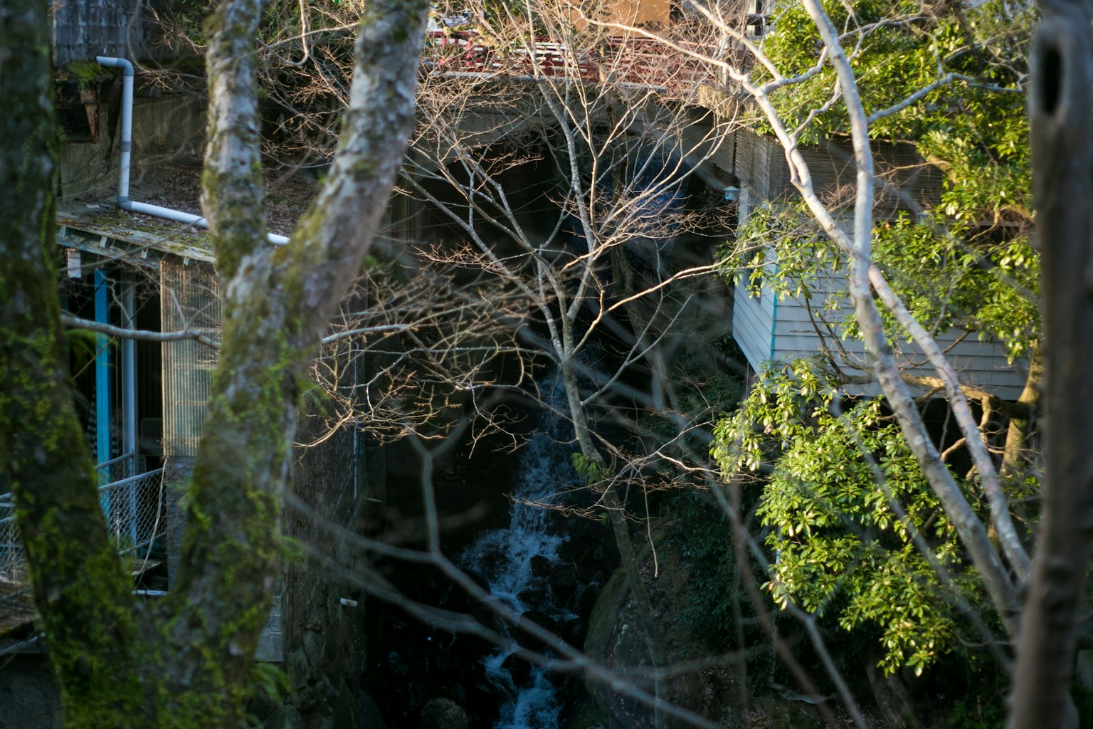 被綠色樹木環繞的小瀑布和鄉村建築的寧靜景觀
