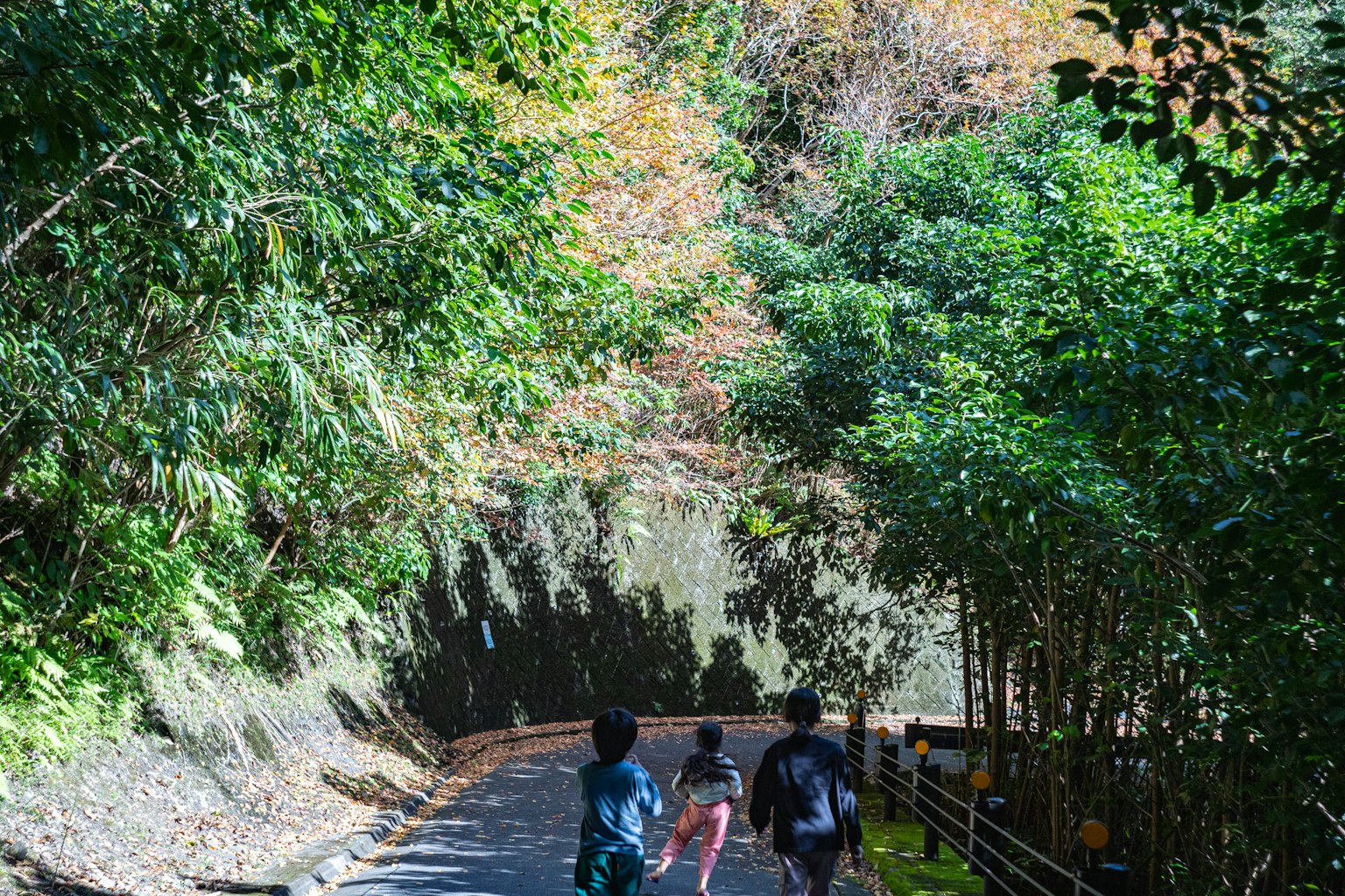 Tres personas caminando por un sendero forestal exuberante
