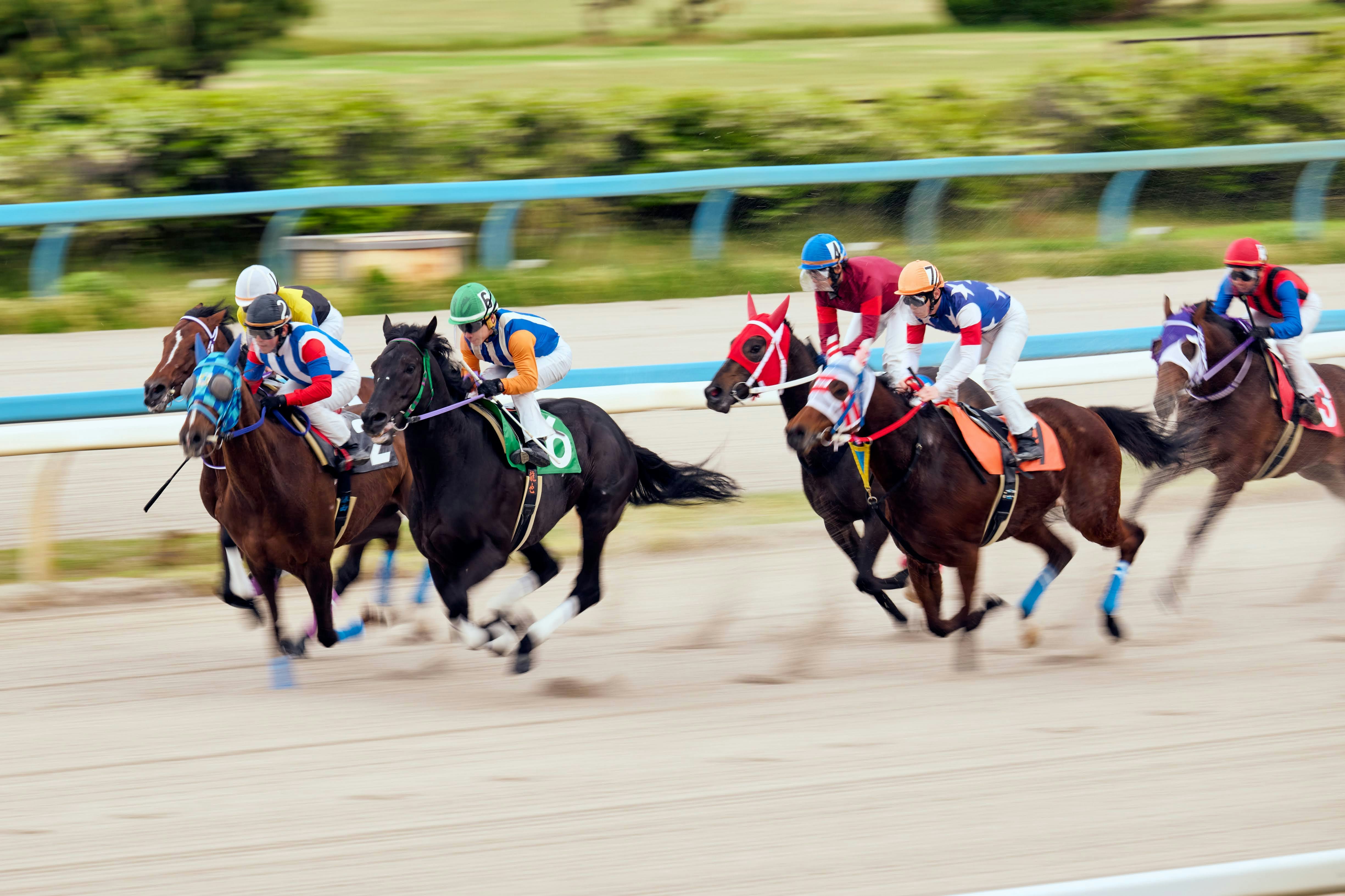 賽馬場上賽馬疾馳的瞬間
