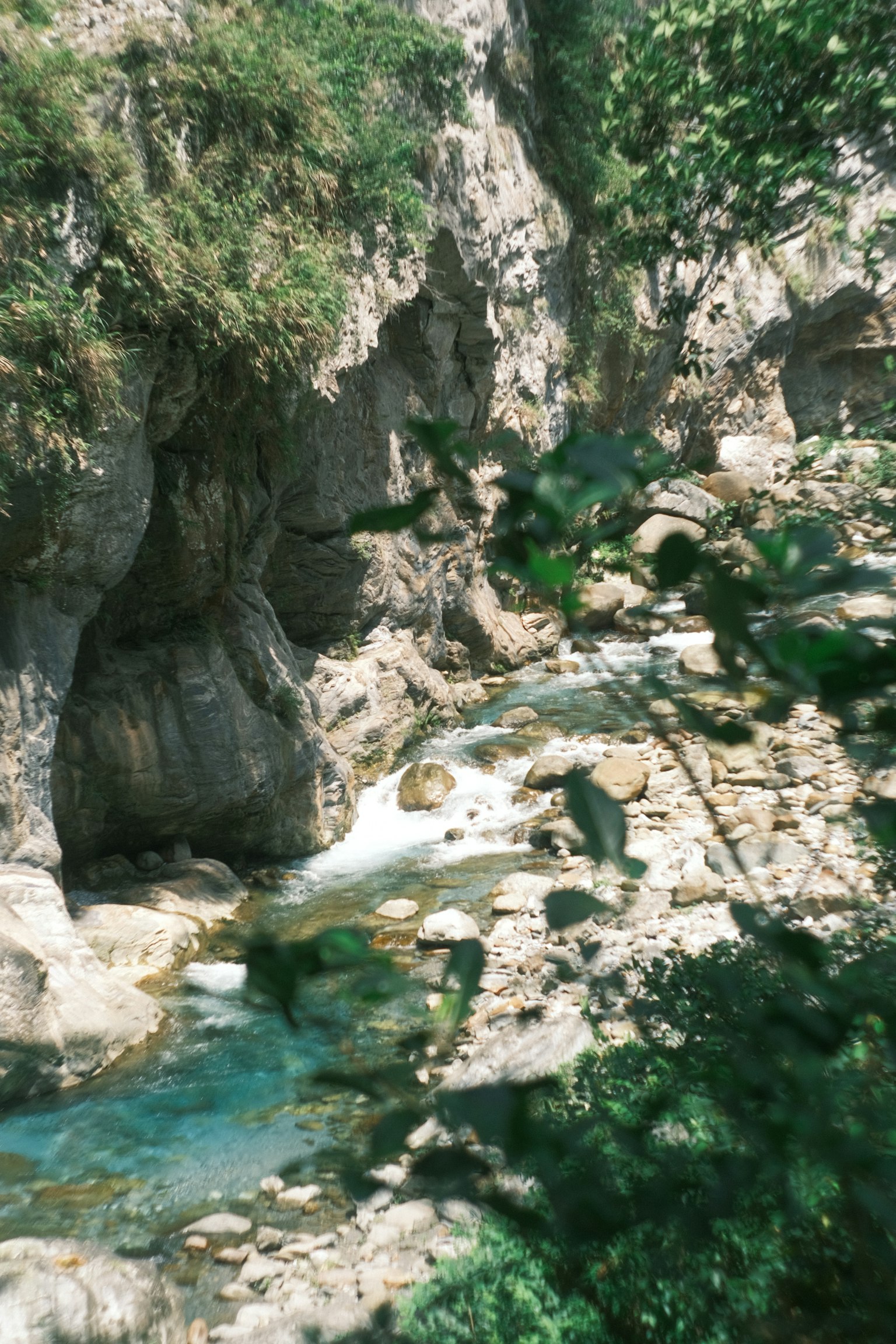 綠意盎然的峽谷中流淌的小溪風景