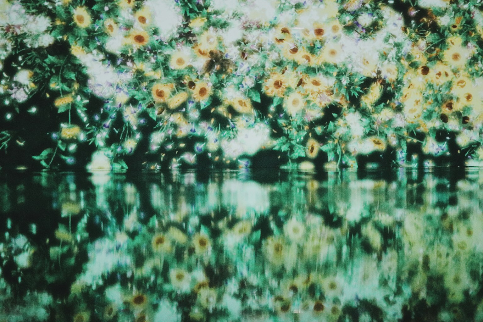A beautiful scene of yellow flowers and green leaves reflected on water