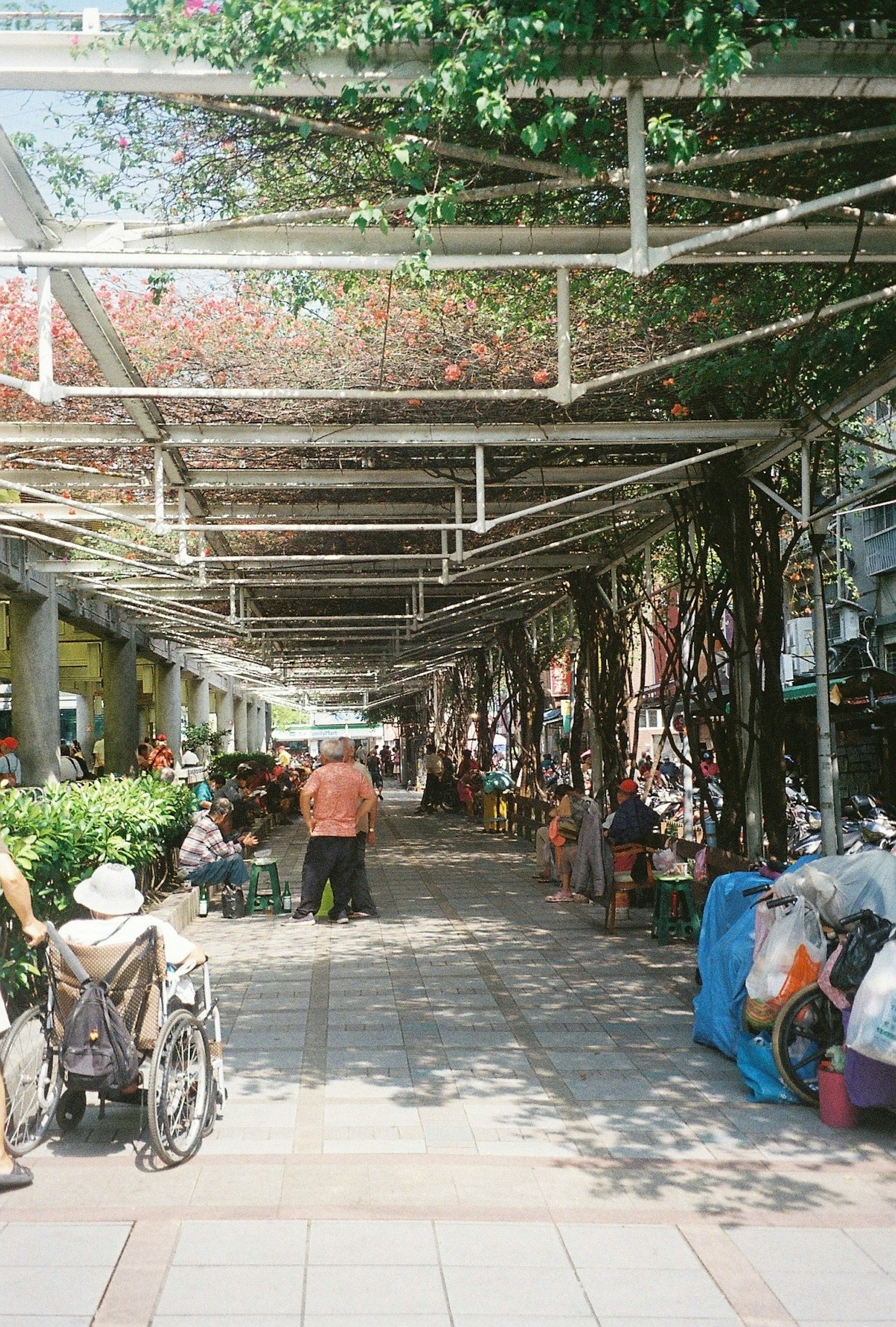 Un paseo animado rodeado de vegetación con personas relajándose bajo un dosel frondoso