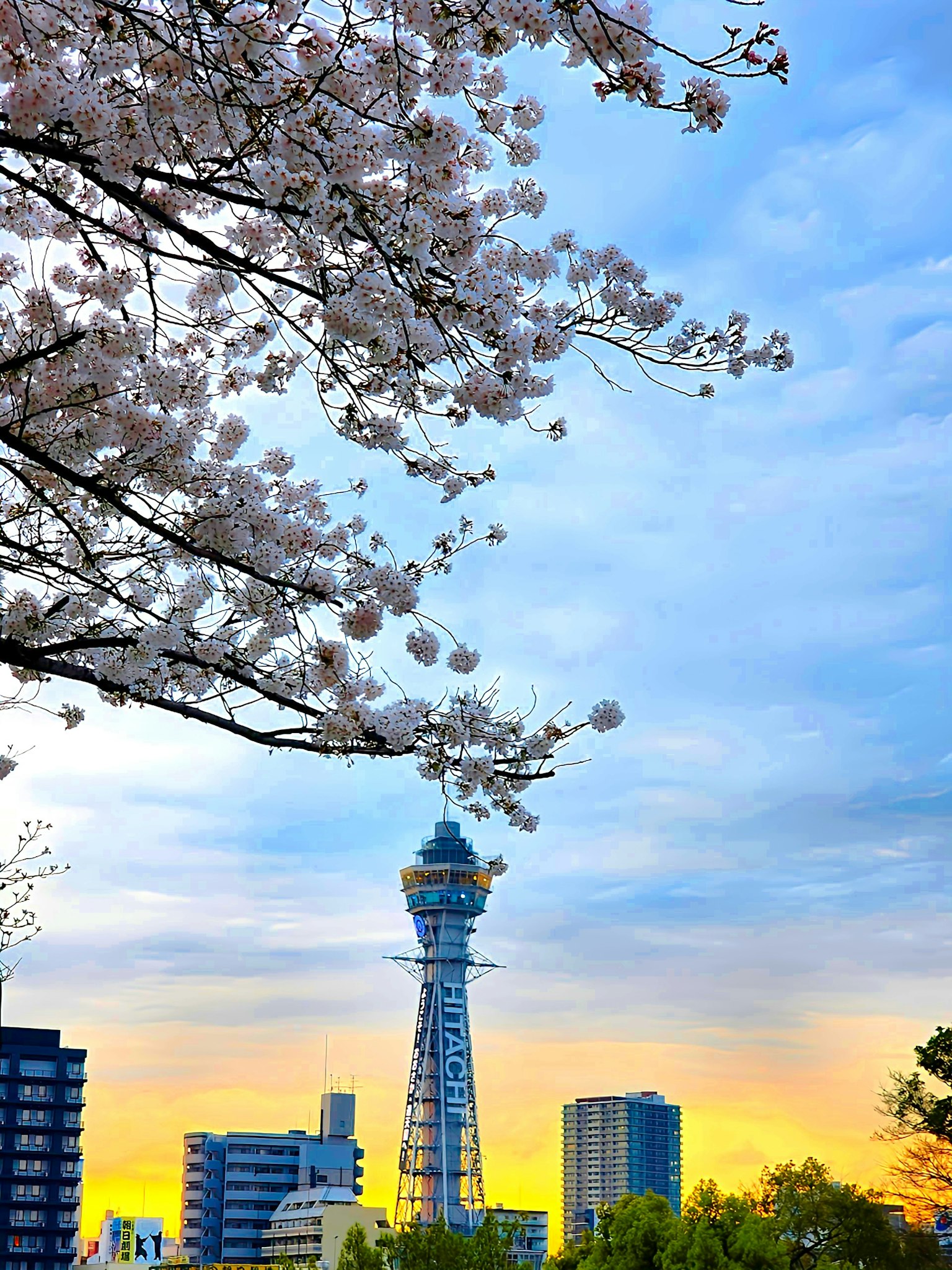 Fleurs de cerisier contre un ciel de coucher de soleil avec la tour Tsutenkaku