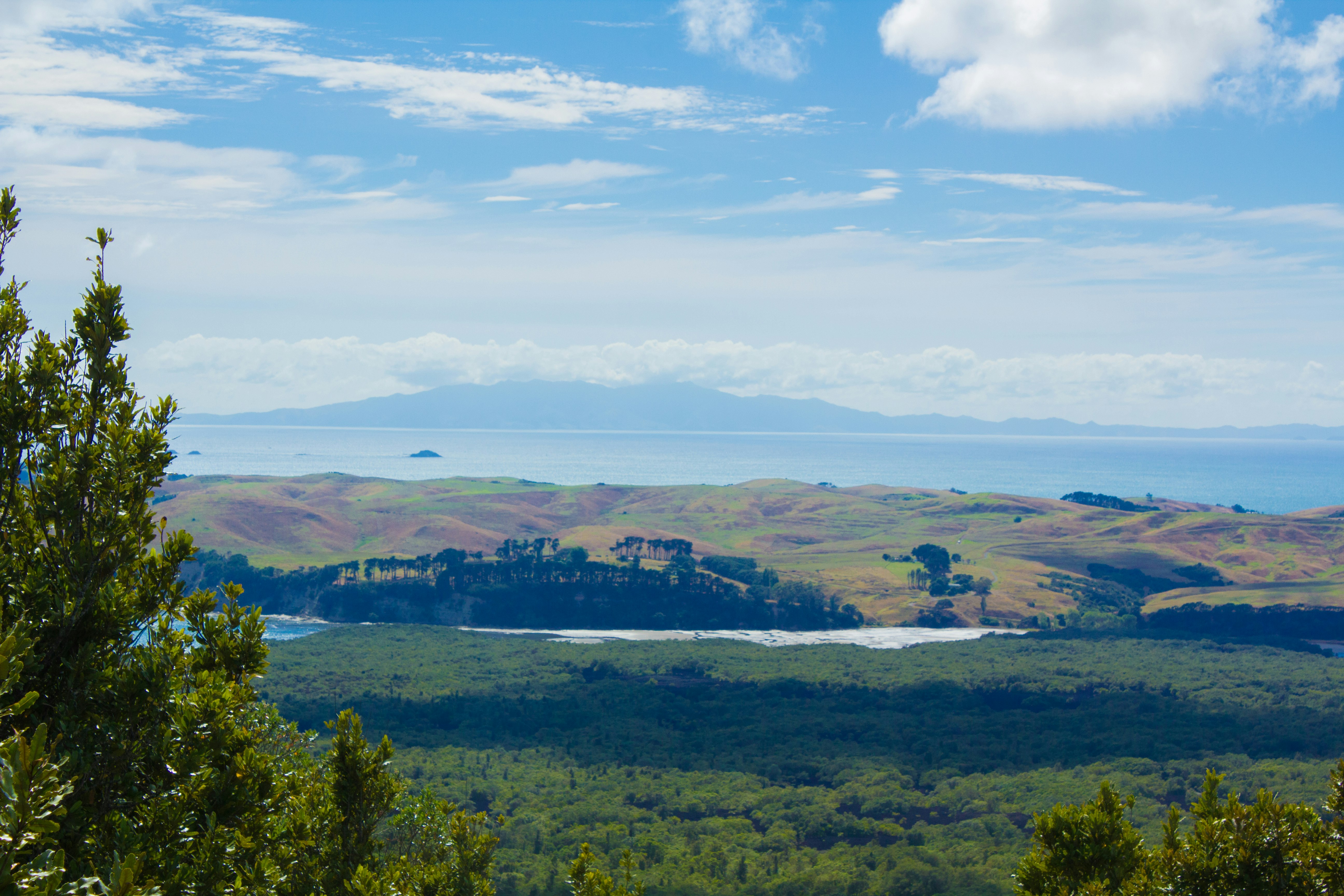 natural landscape view of rolling hills and the sea