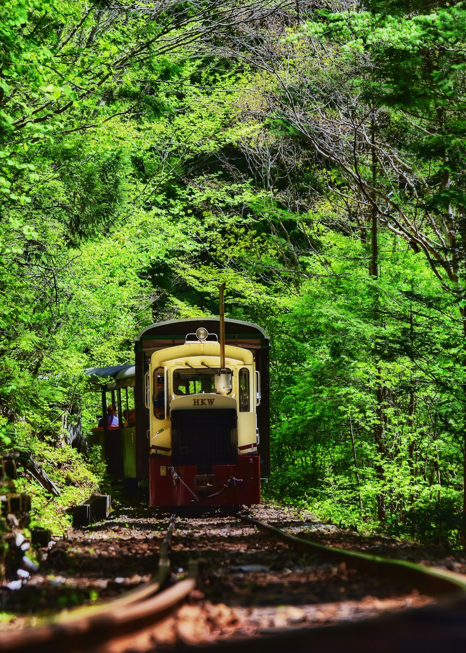 A small train on a track surrounded by lush green trees