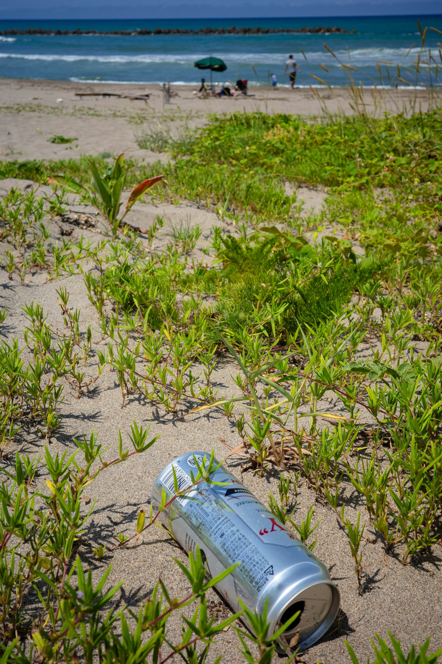 Eine Getränkedose liegt am Sandstrand umgeben von grünem Gras