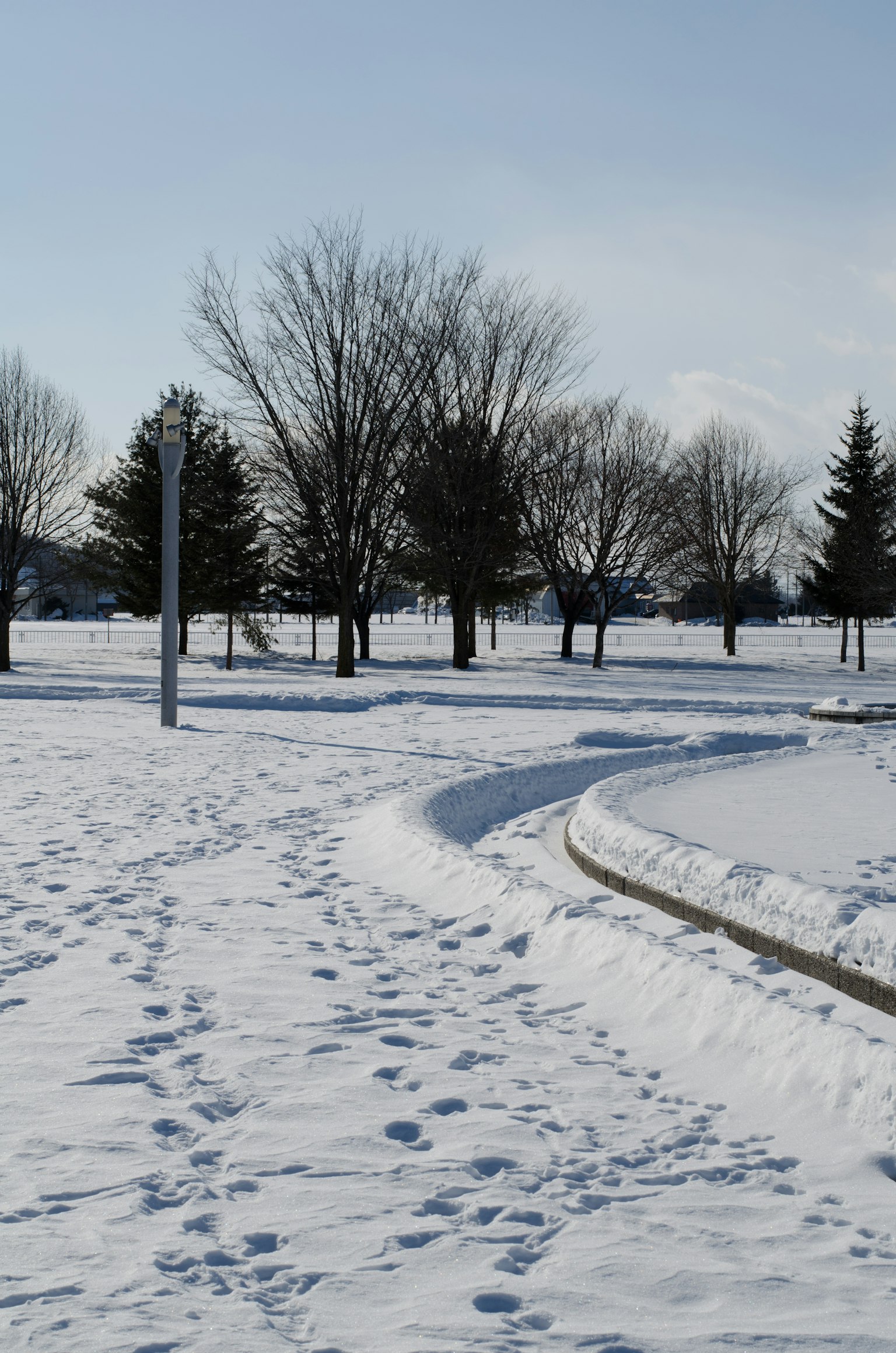 Snow-covered park scene with footprints in the snow and trees