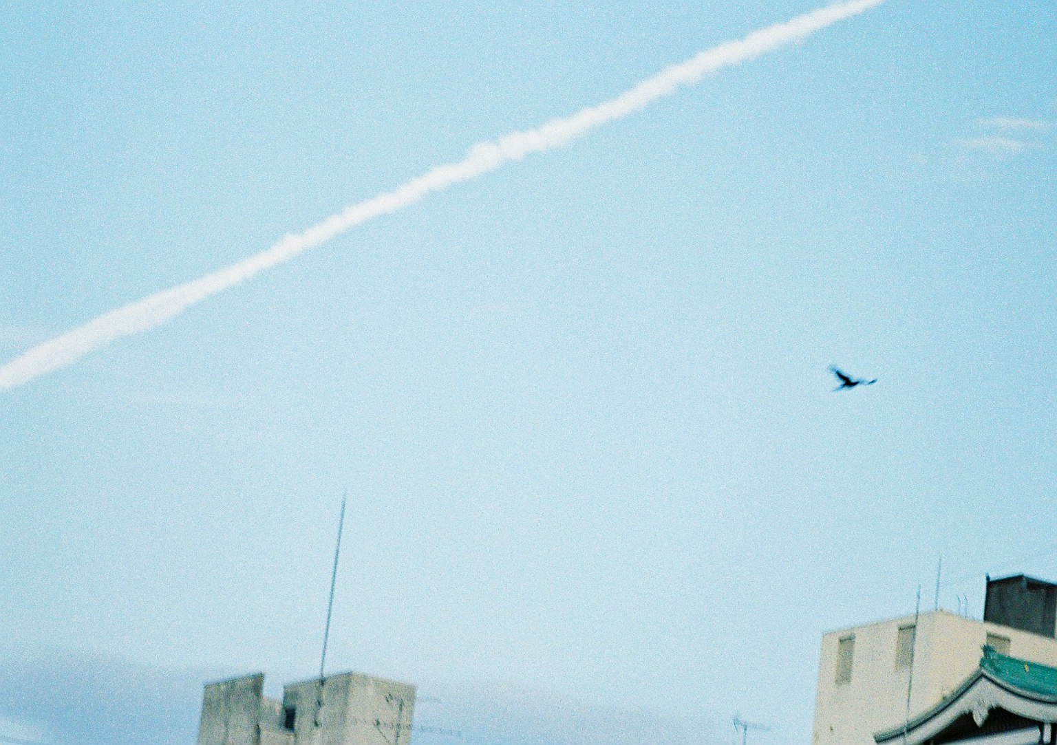 A view of blue sky featuring a contrail and a flying bird