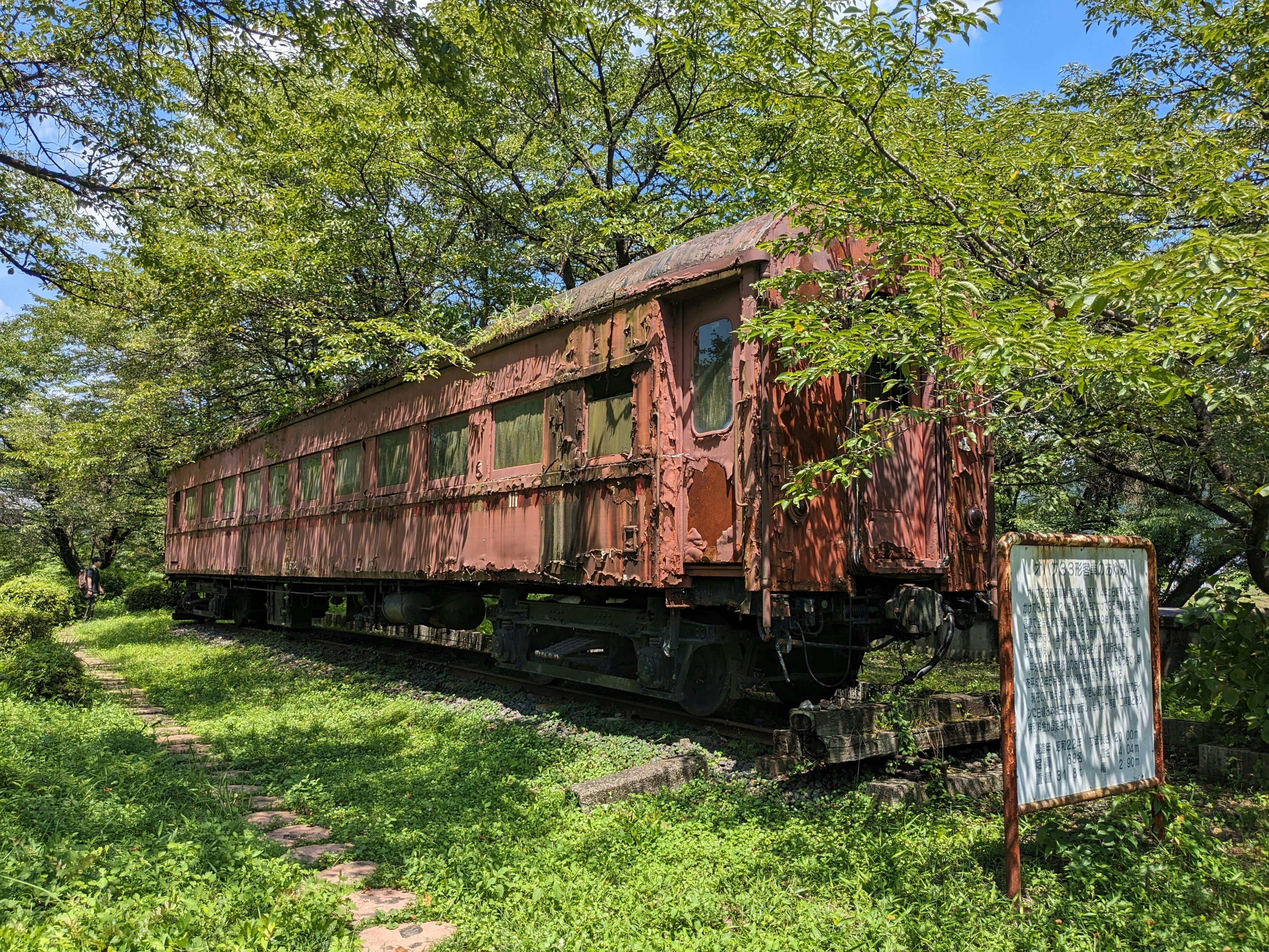 rusty freight train car parked on green grass