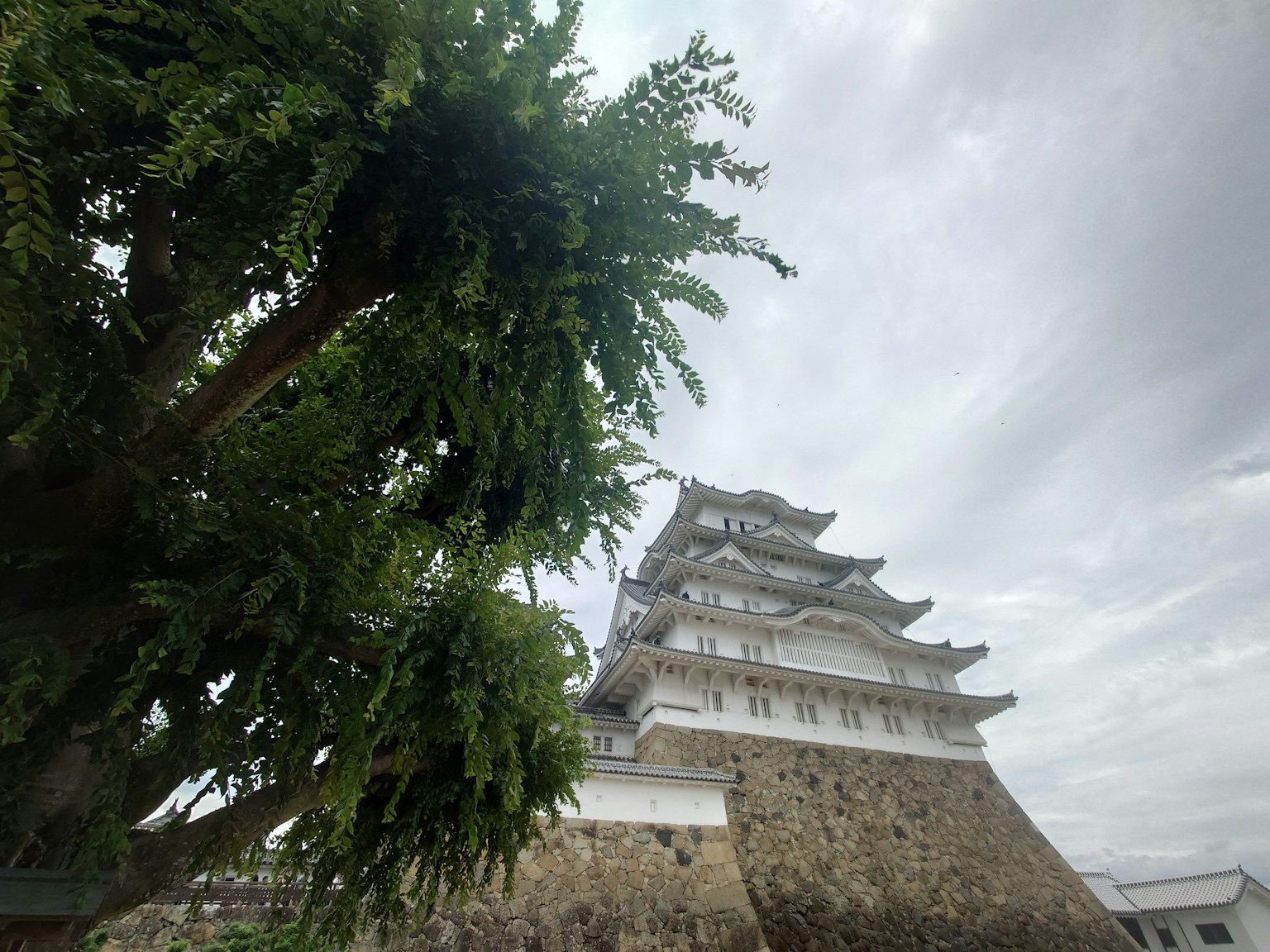歷史城堡與前景中的大樹和陰雲密布的天空