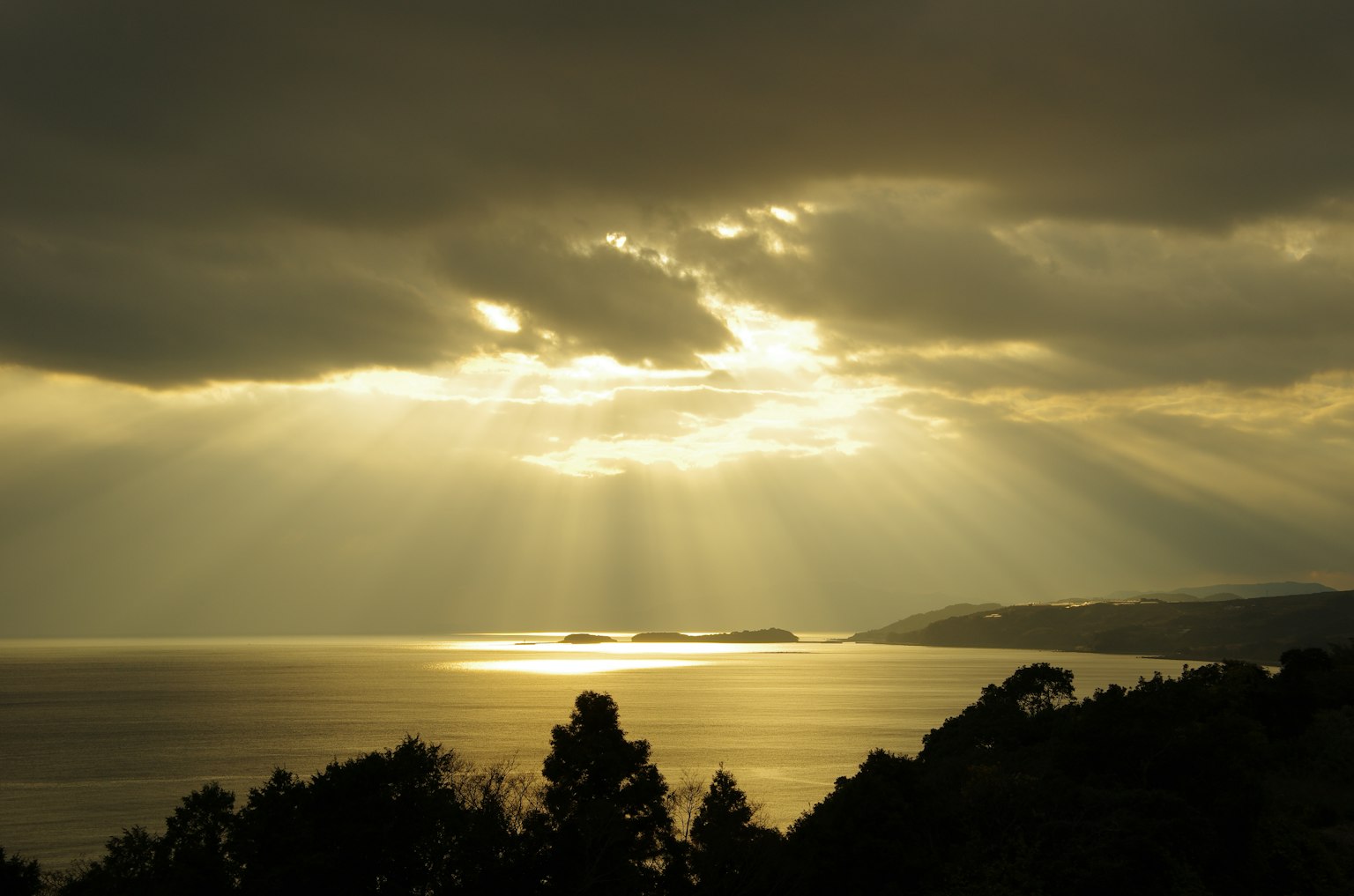 photo-v3IIePsH1ZUnrKtSLw7w-image