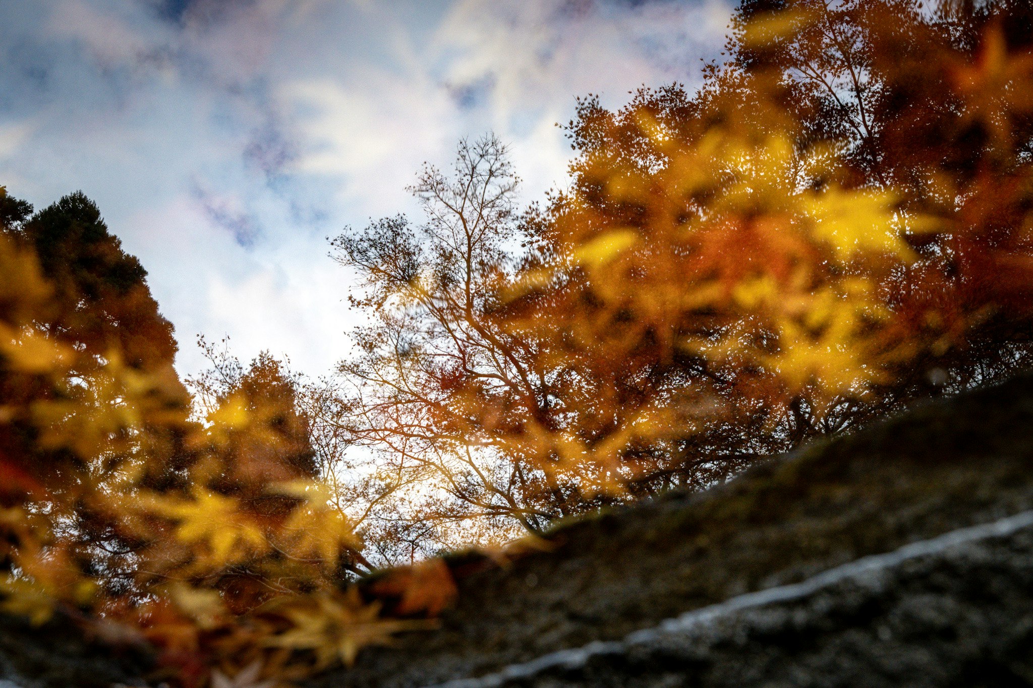 手水に映る秋の紅葉と空のリフレクション