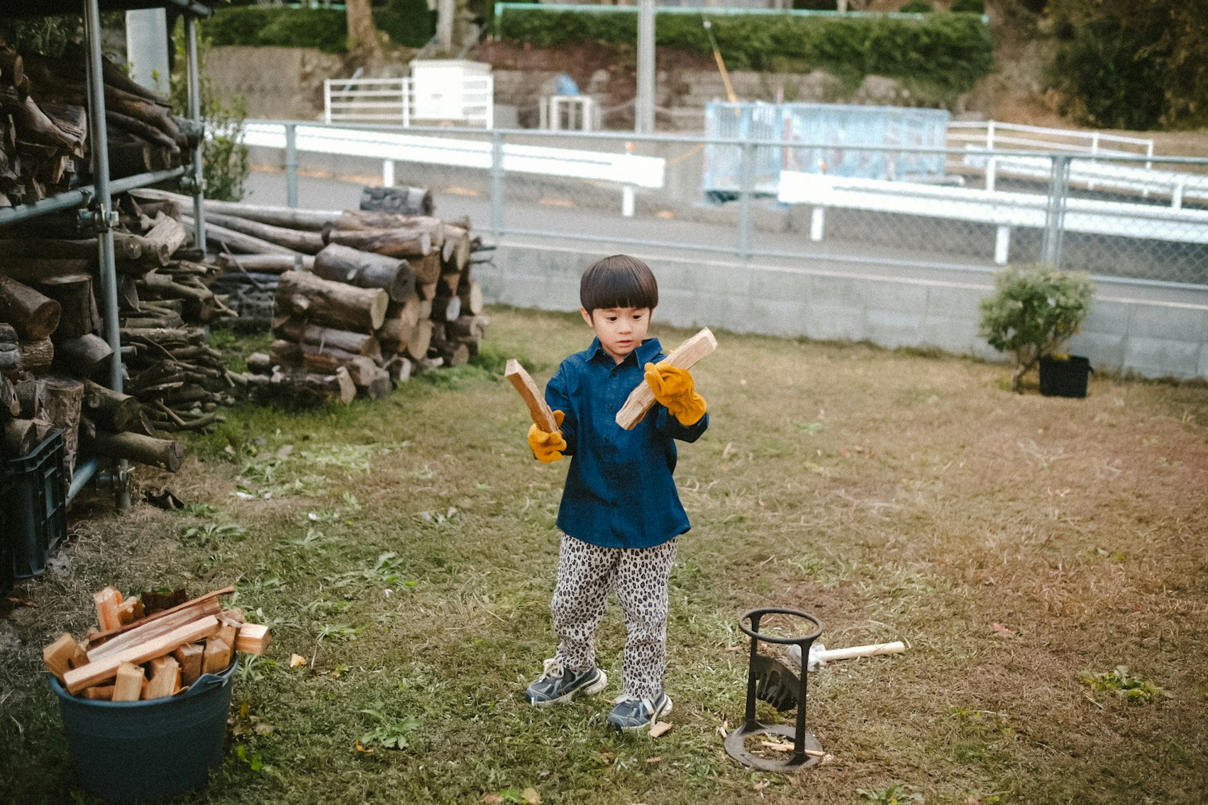 scène de jardin avec bûches et installation de fendage du bois