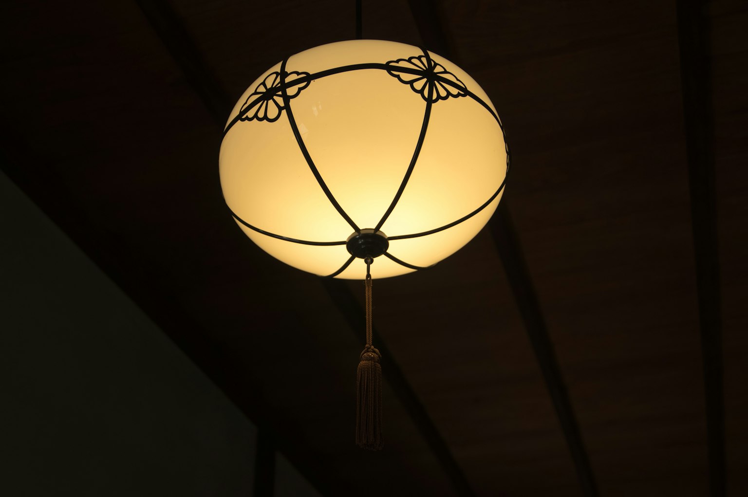 ์ฒ์ฅ์์ ๋งค๋ฌ๋ฆฐ ํฐ์ ์ผ๋ณธ์ ์กฐ๋ช