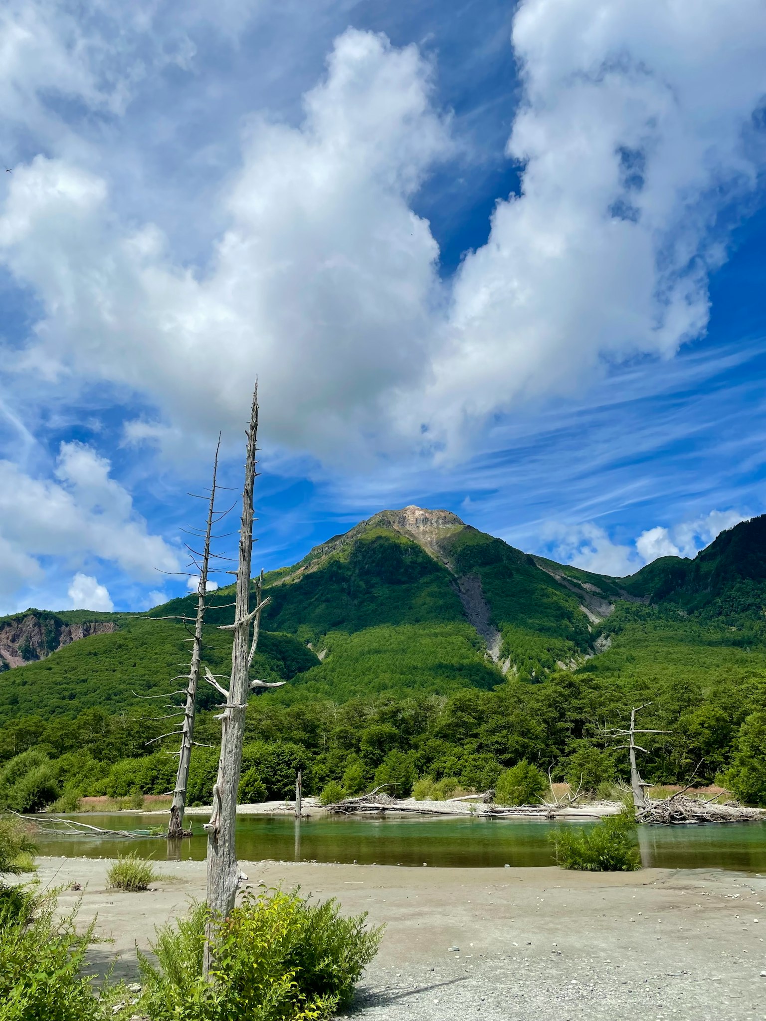 Pemandangan dengan gunung hijau di bawah langit biru dengan awan putih sebuah pohon mati berdiri di latar depan