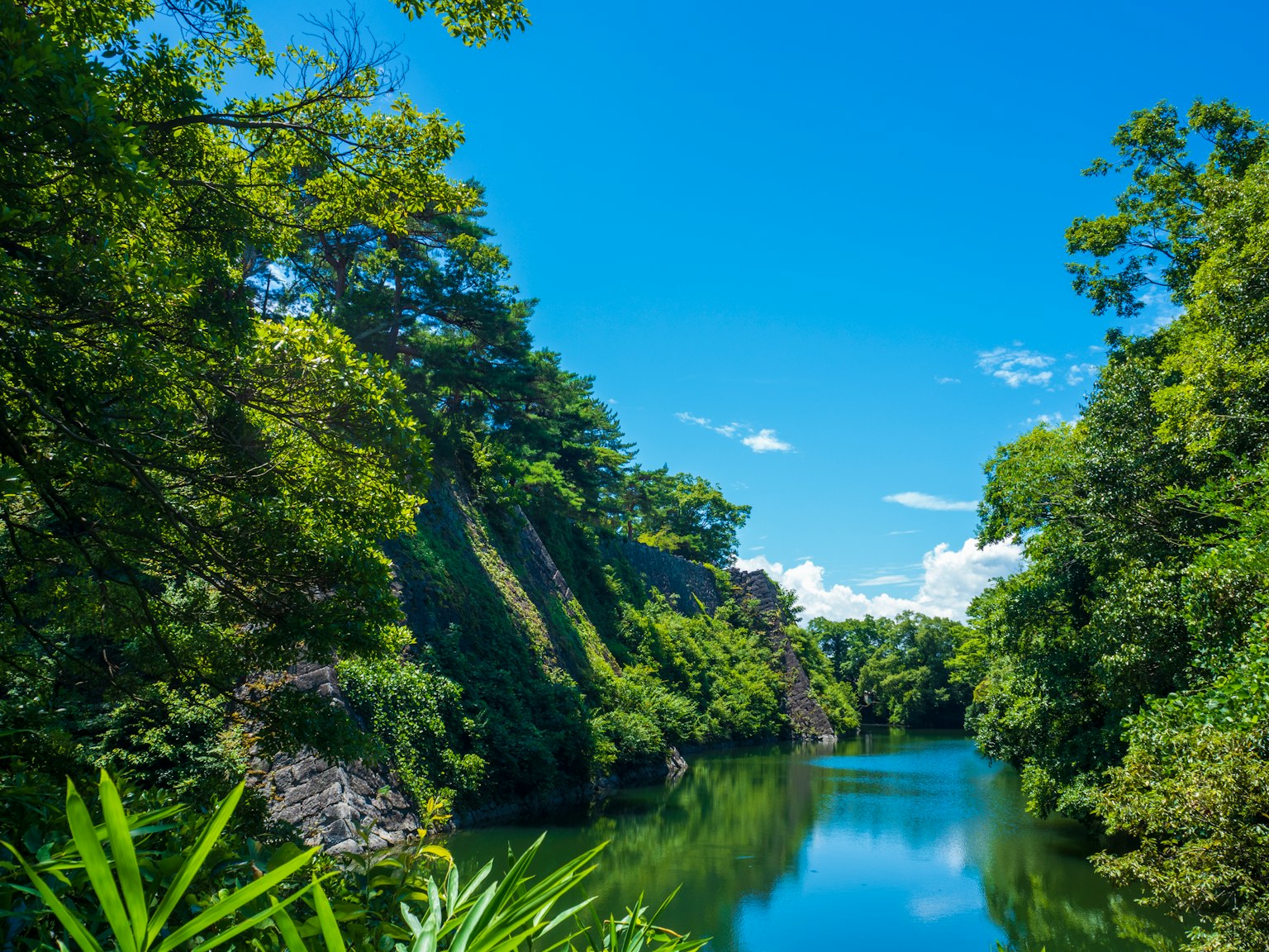 Serene Flusslandschaft umgeben von üppigem Grün blauer Himmel und weiße Wolken spiegeln sich im Wasser