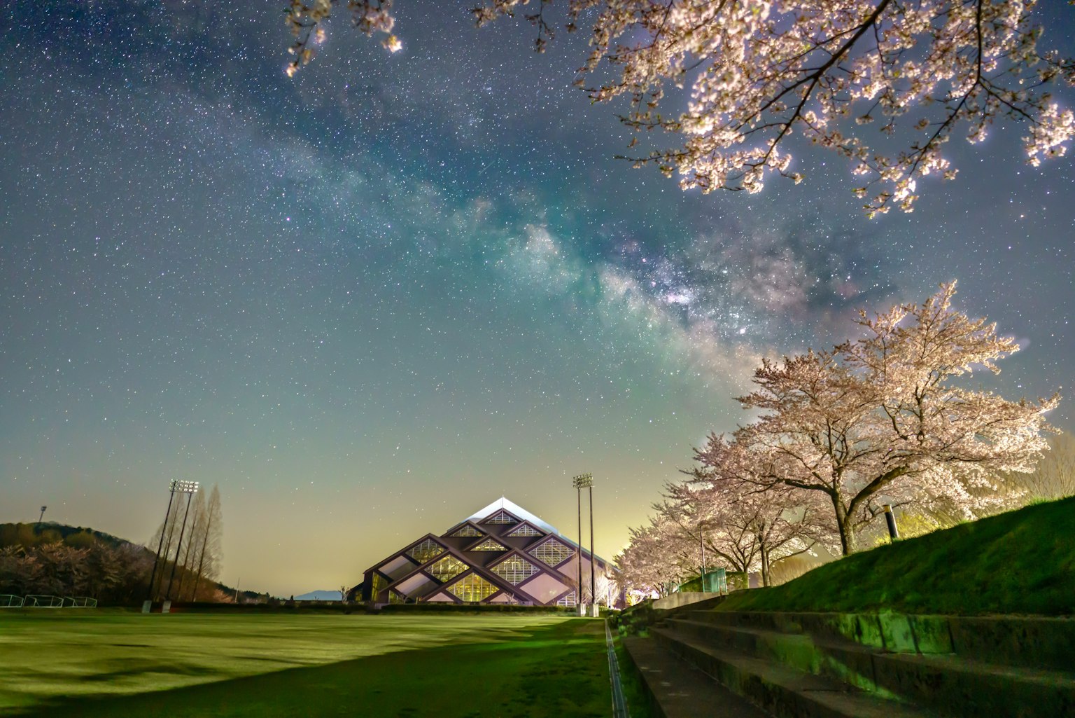 Beeindruckende Landschaft mit Kirschblütenbäumen und einem sternenklaren Himmel