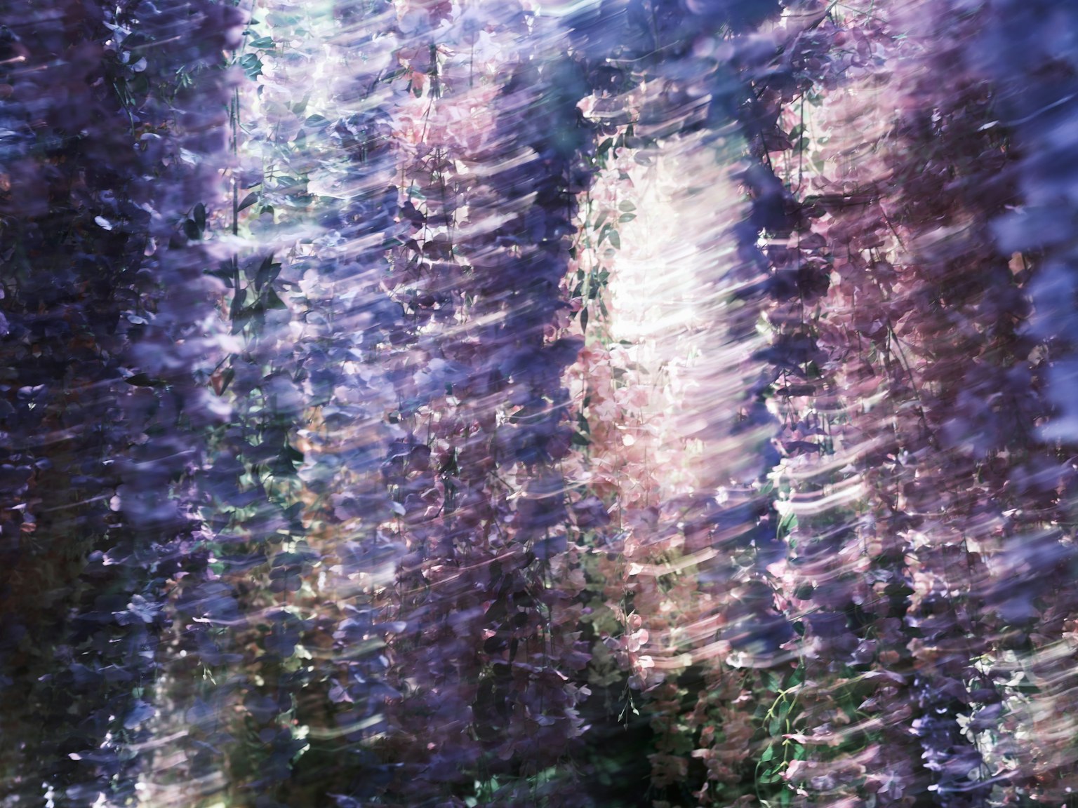 Paisaje abstracto con fondo borroso en tonos morados y verdes reflejando la luz