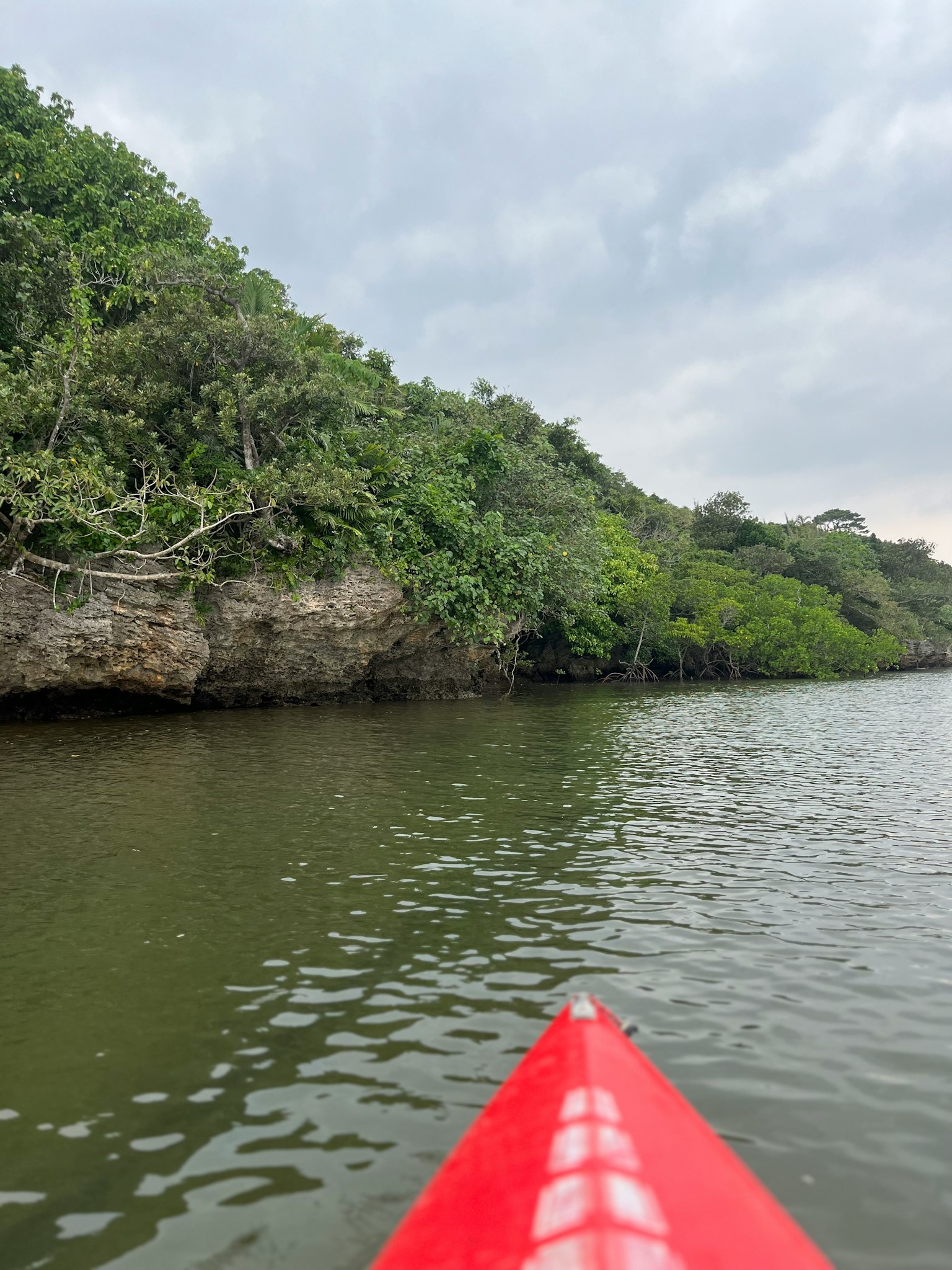Red kayak tip in calm water surrounded by lush greenery and rocky cliffs