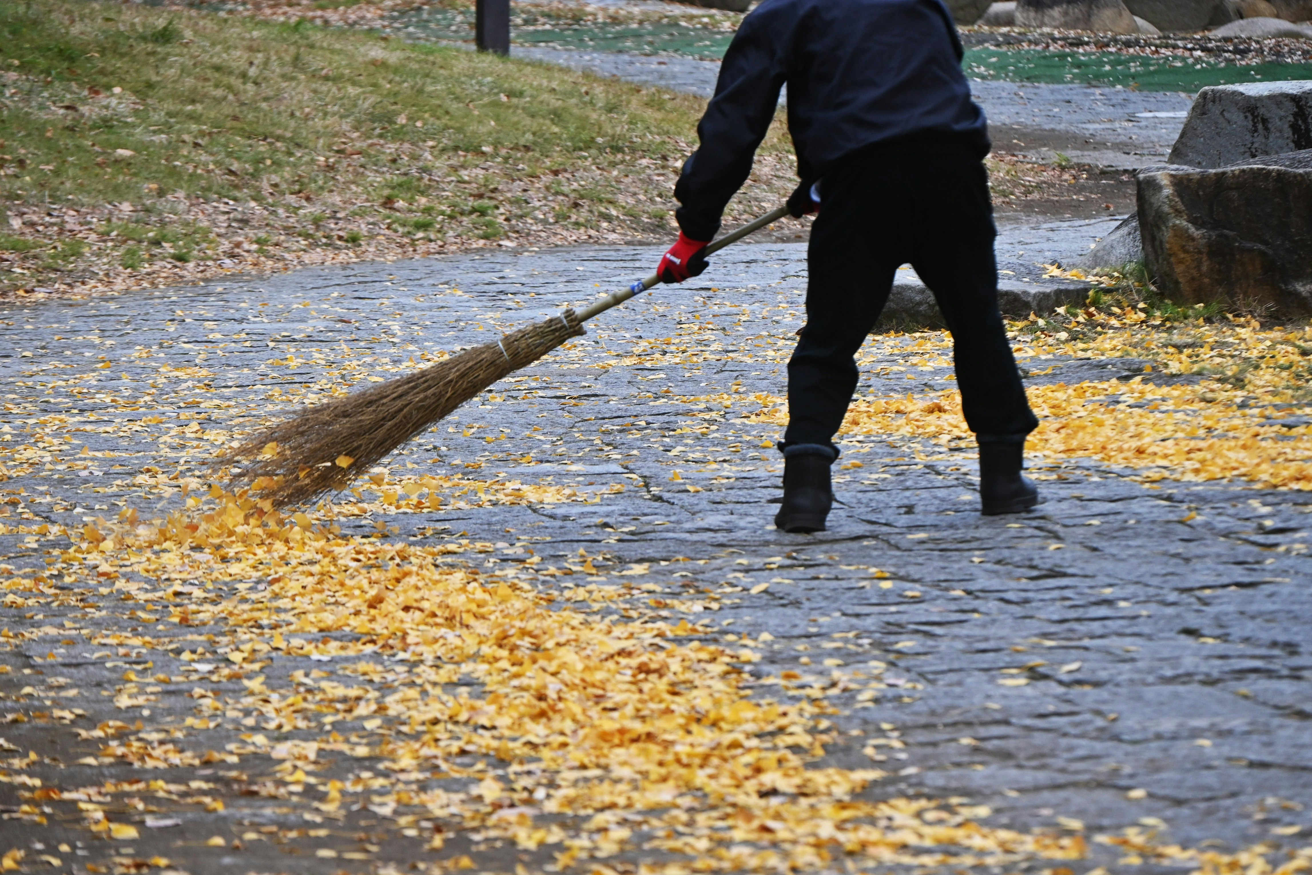 Una persona barriendo hojas secas en una calle de otoño