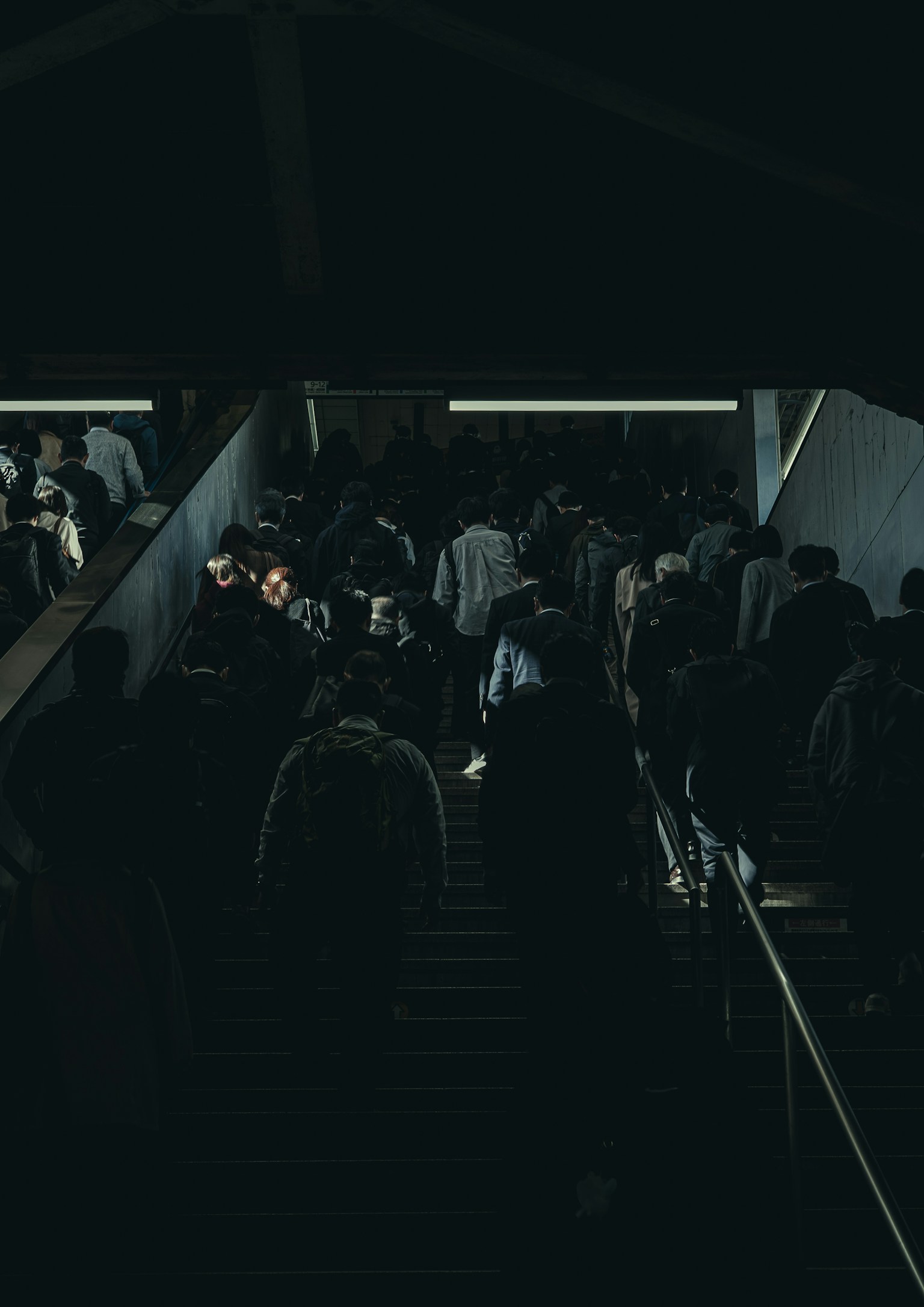 photo-v5Vik5xPw1V6yvkX5LBJ-image