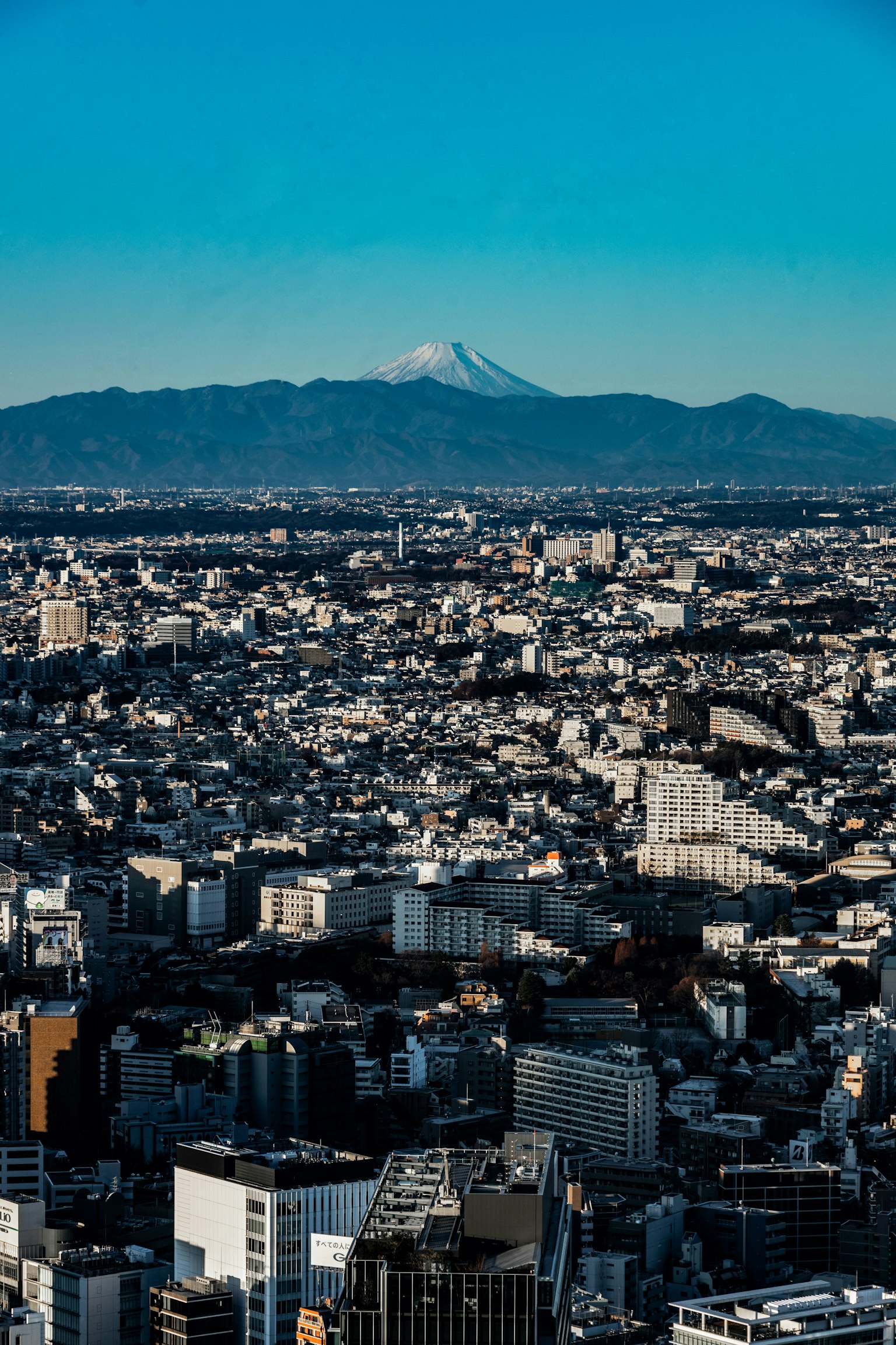 Panorama della città di Tokyo con il Monte Fuji in lontananza