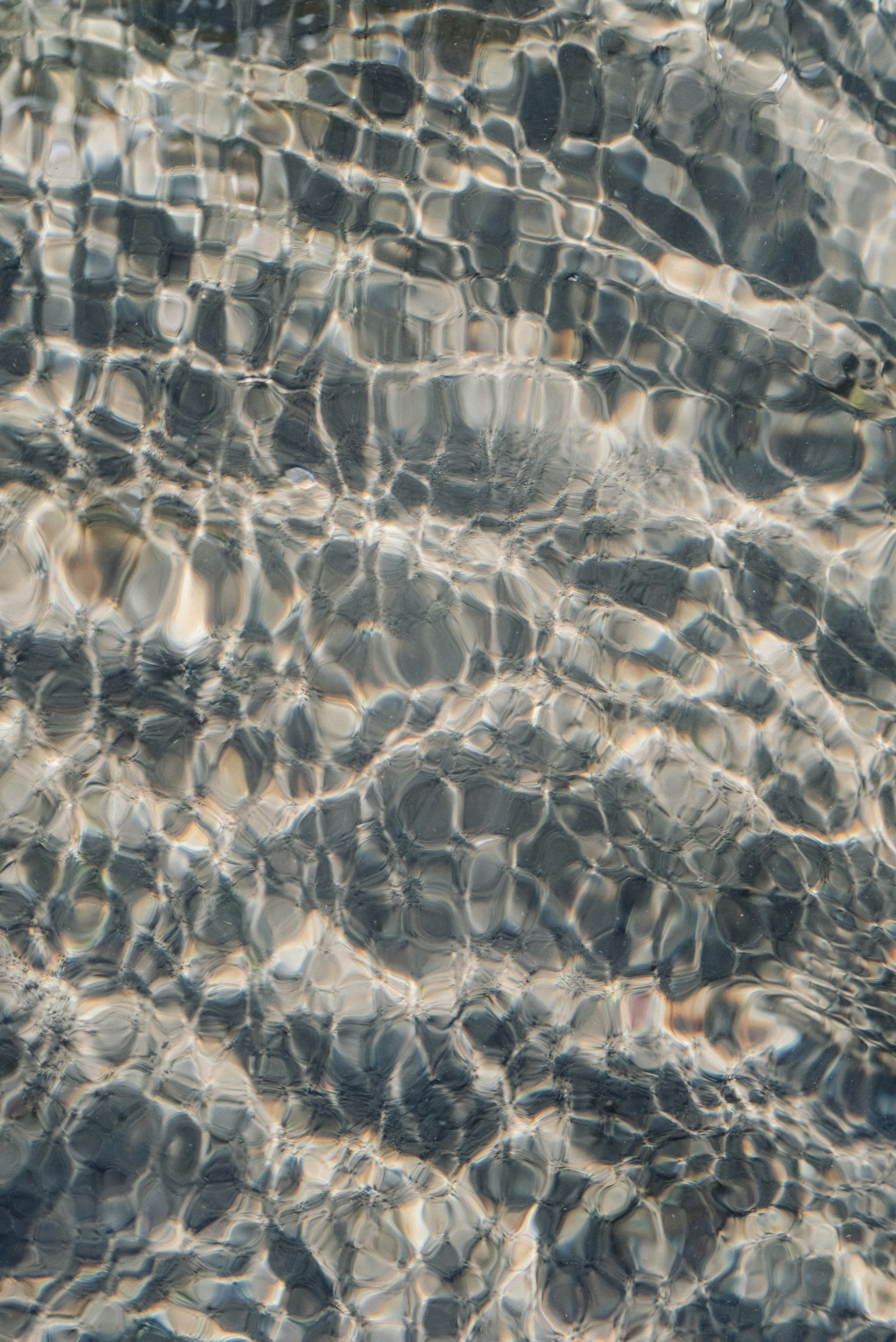 Image d'eau magnifique montrant des ondulations et des reflets lumineux