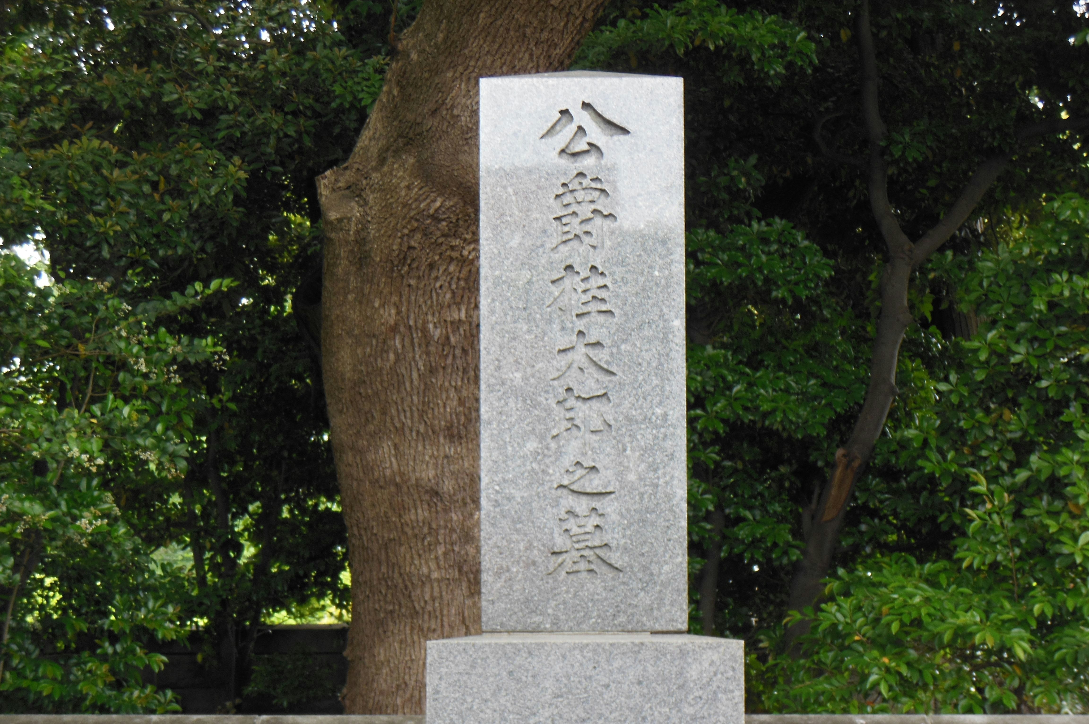 樹旁的公園墓地石碑