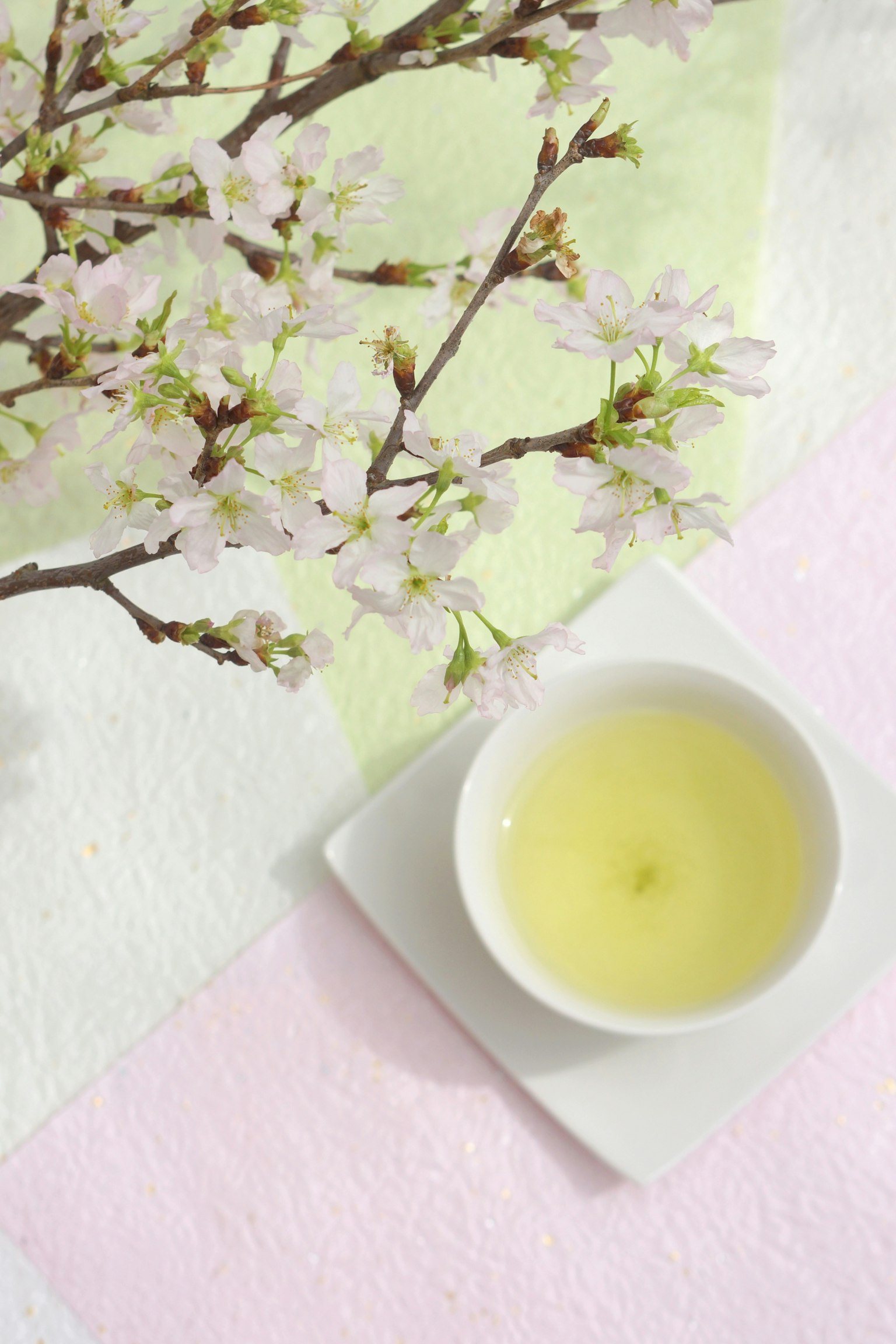 樱花枝和精致的花朵，粉彩背景上的绿茶碗