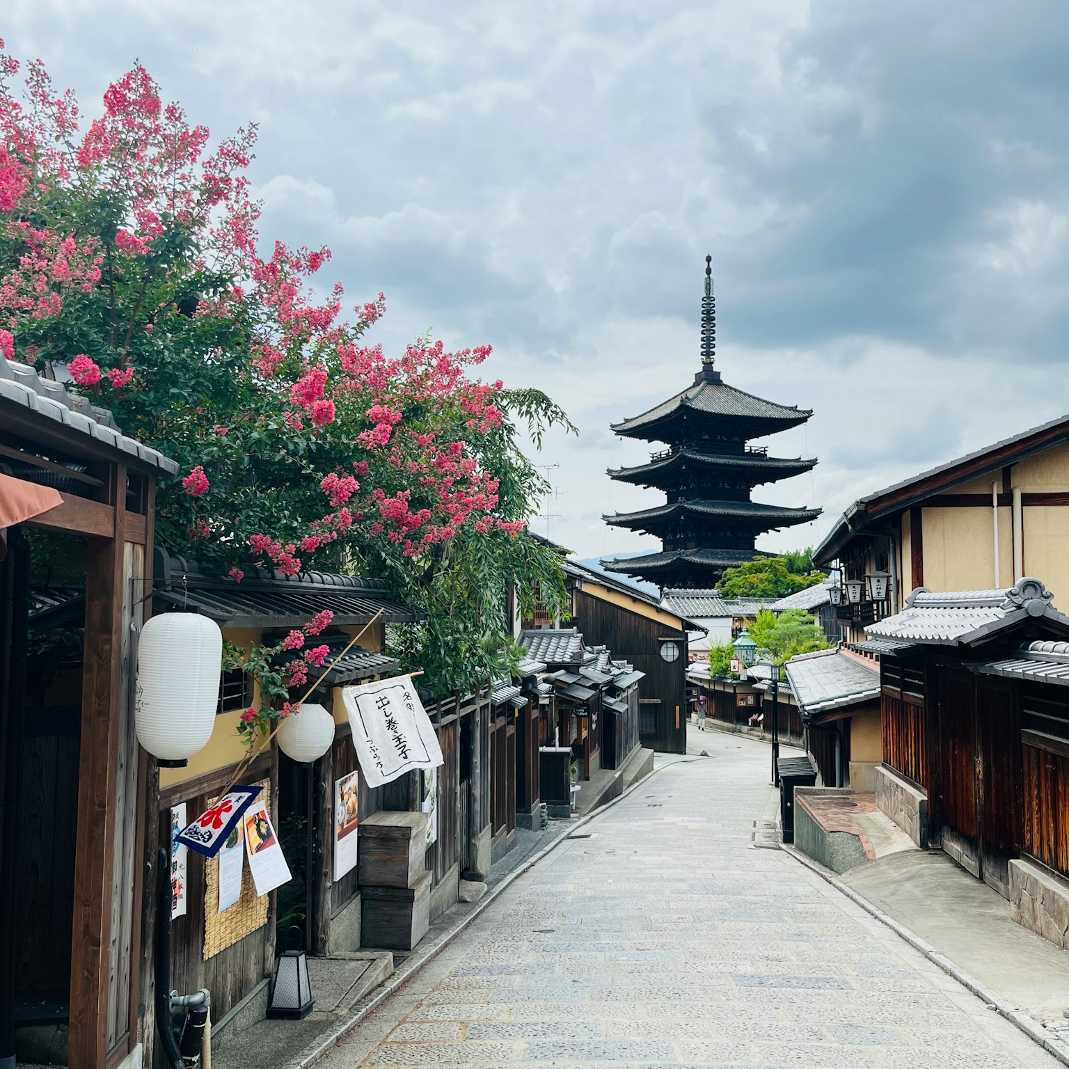 京都传统街道盛开的花朵和一座塔