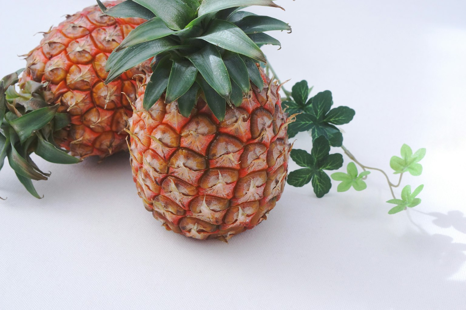 Deux ananas avec une petite plante verte à côté