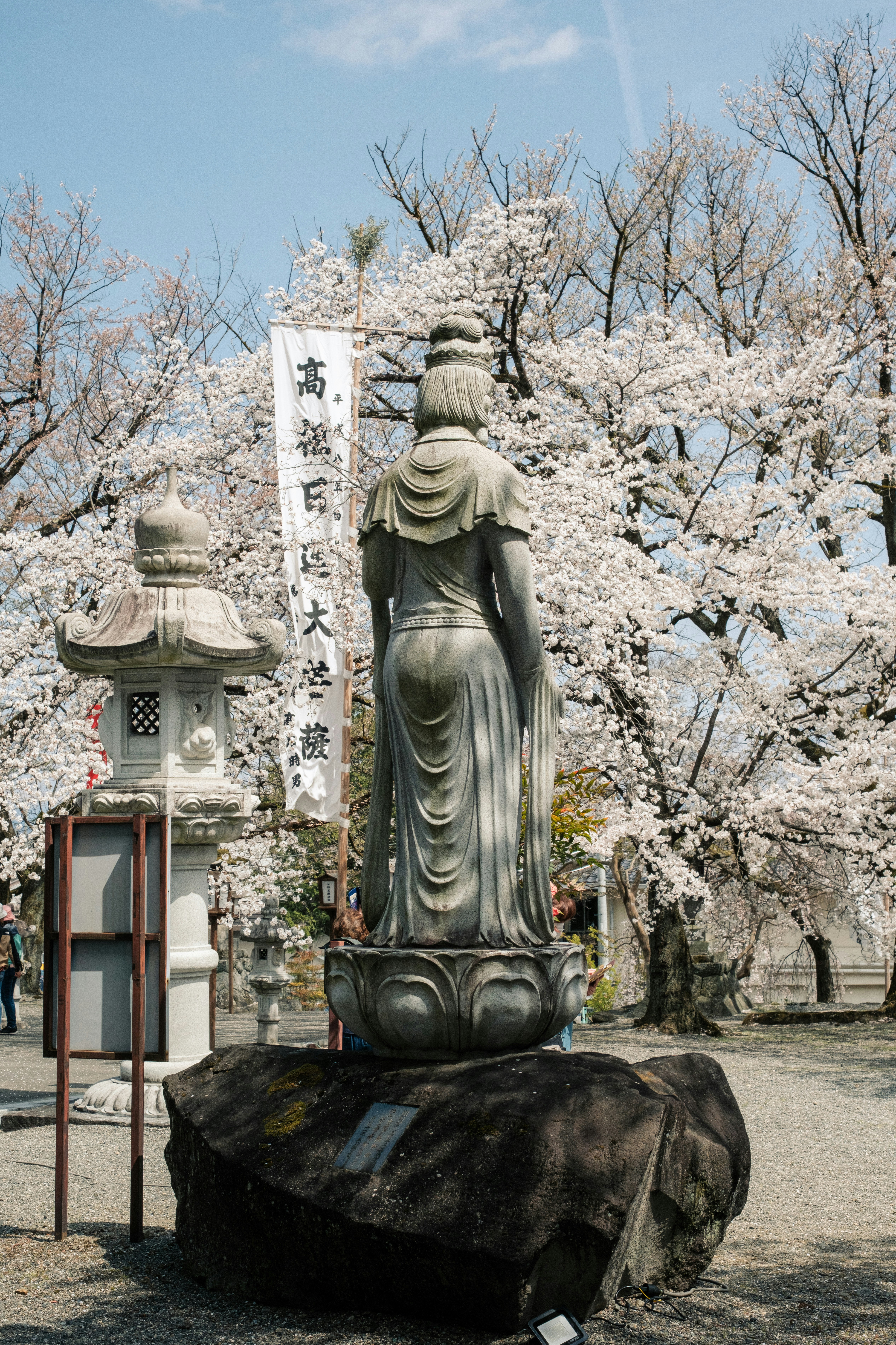 桜の咲く庭園に立つ仏像と石碑のある風景