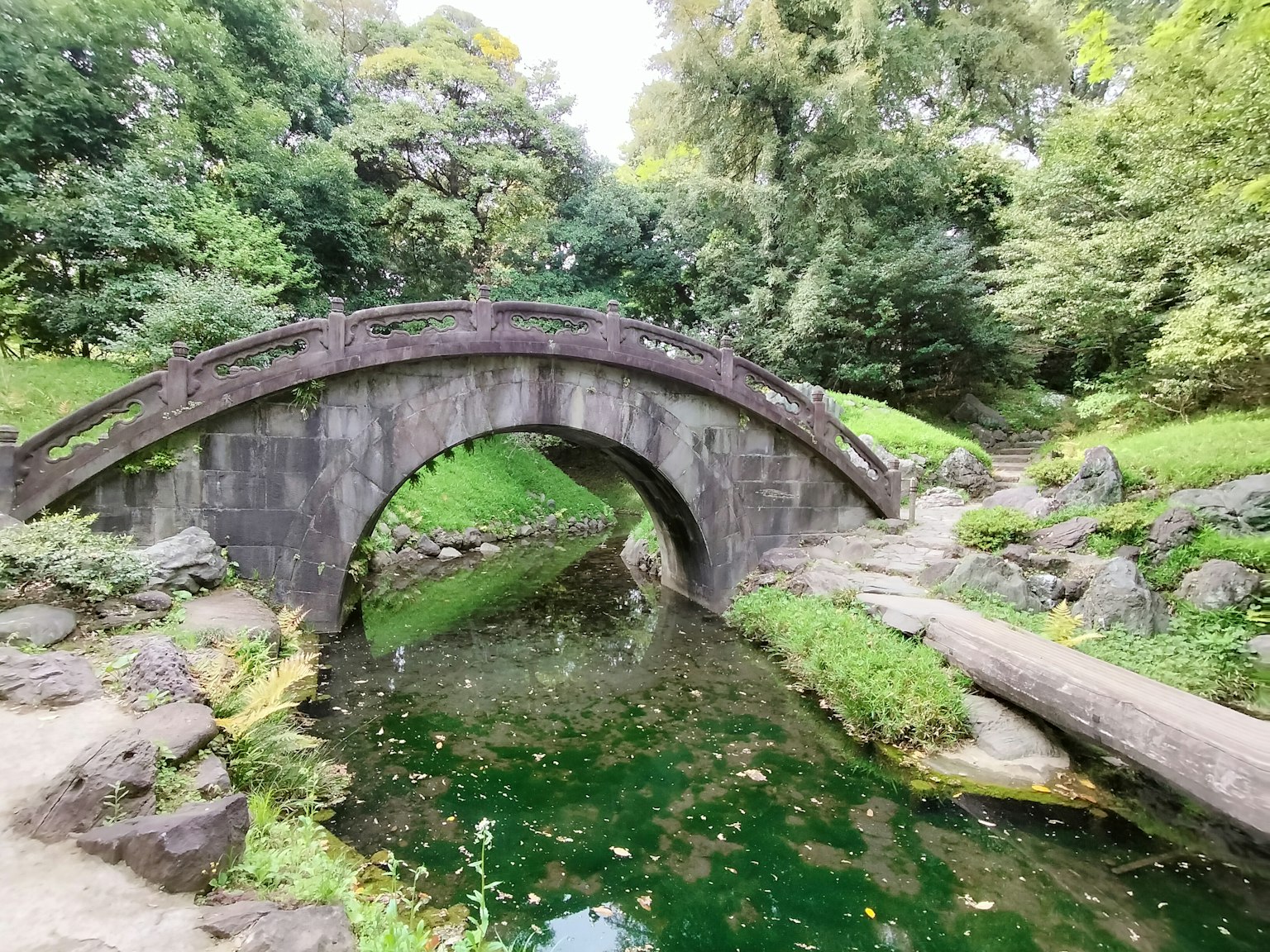 茂密公园中的石拱桥和下面宁静的水面