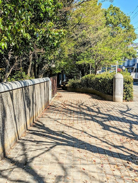 jalan setapak taman dengan pepohonan dan dinding batu
